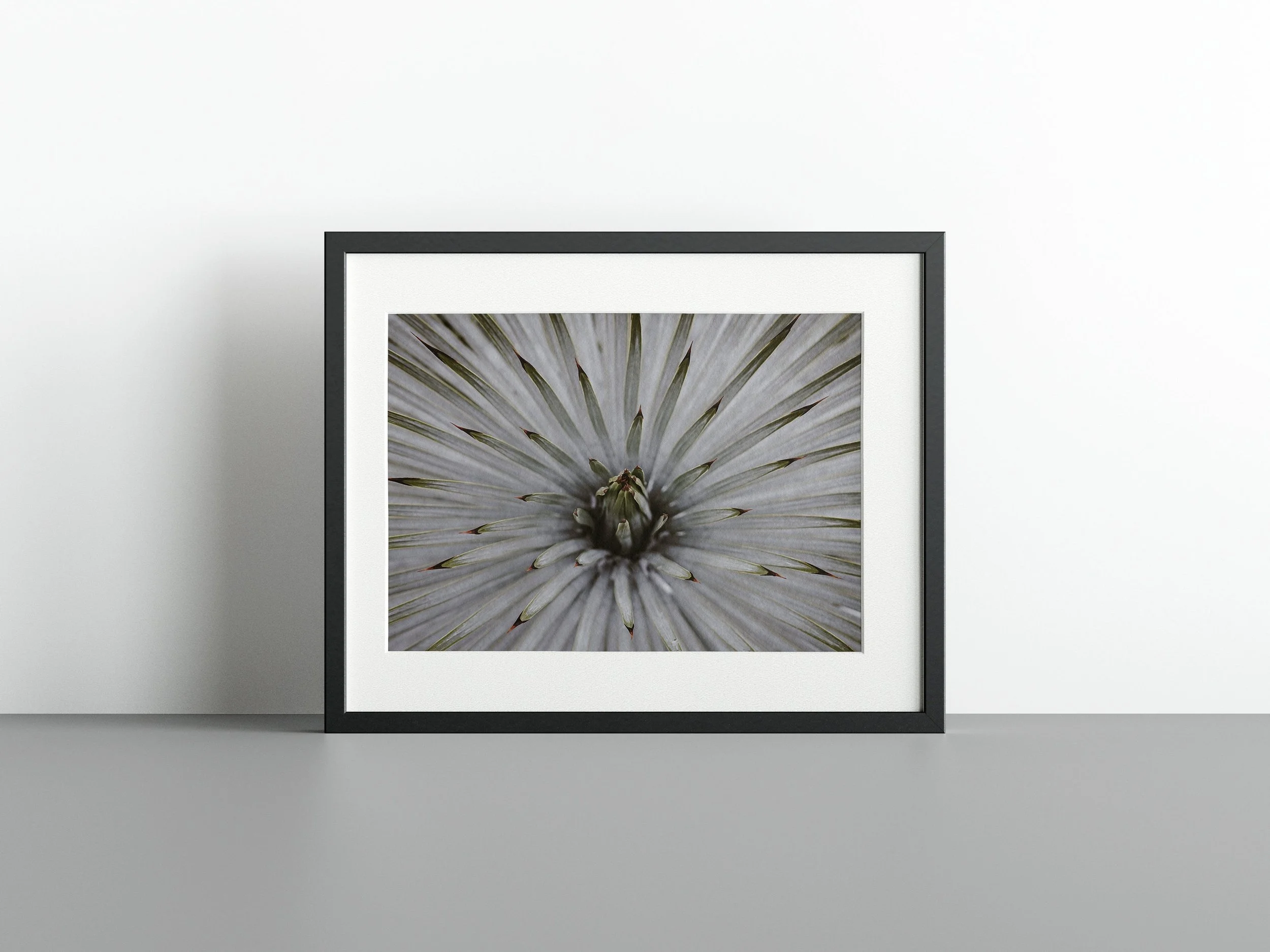 https://i.etsystatic.com/34522131/r/il/c4e9f9/3738404640/il_fullxfull.3738404640_em5p.jpg