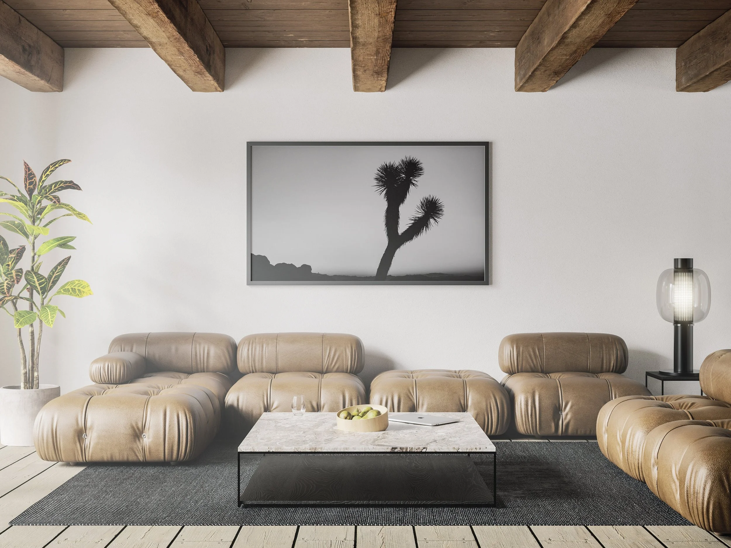 https://i.etsystatic.com/34522131/r/il/562718/3737848574/il_fullxfull.3737848574_ryk5.jpg