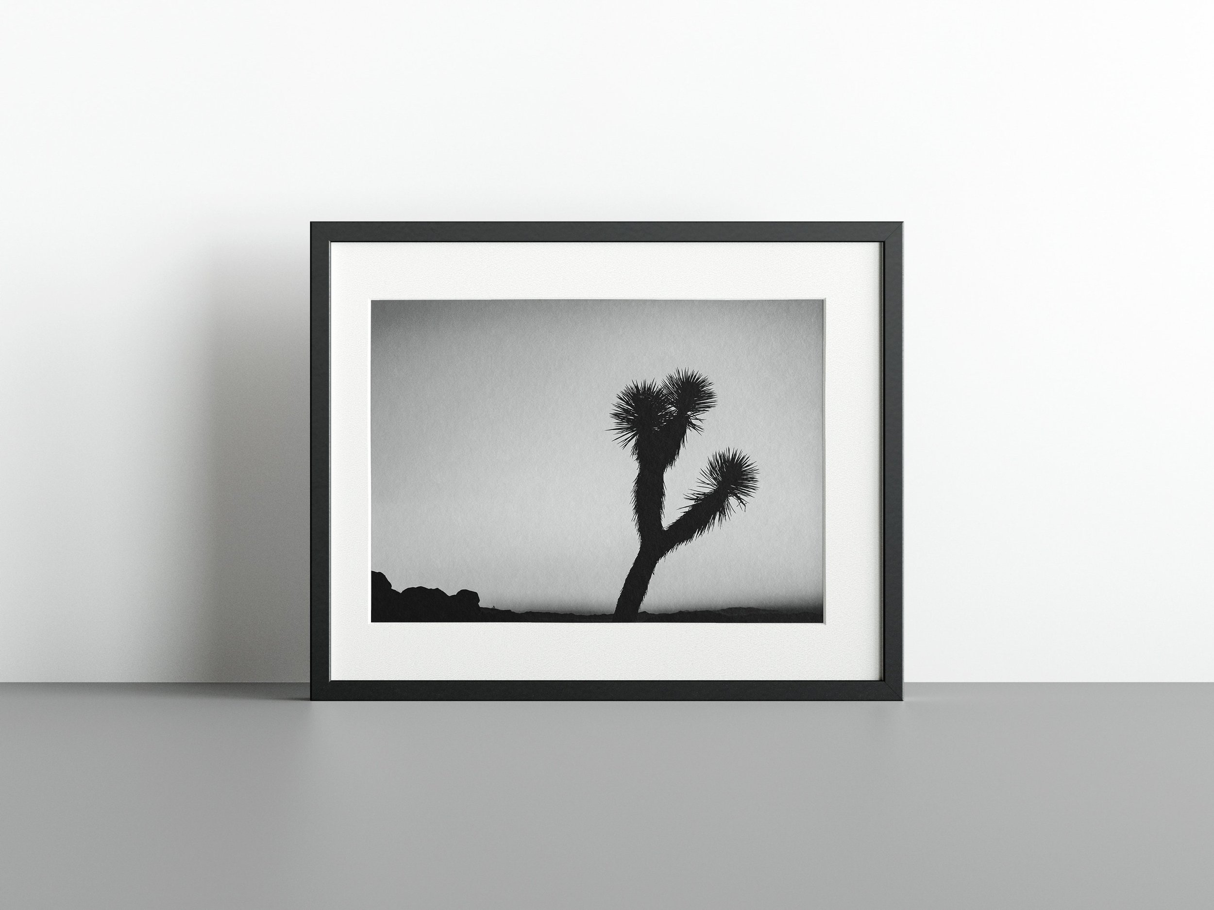 https://i.etsystatic.com/34522131/r/il/cf2cc0/3737848480/il_fullxfull.3737848480_ajem.jpg