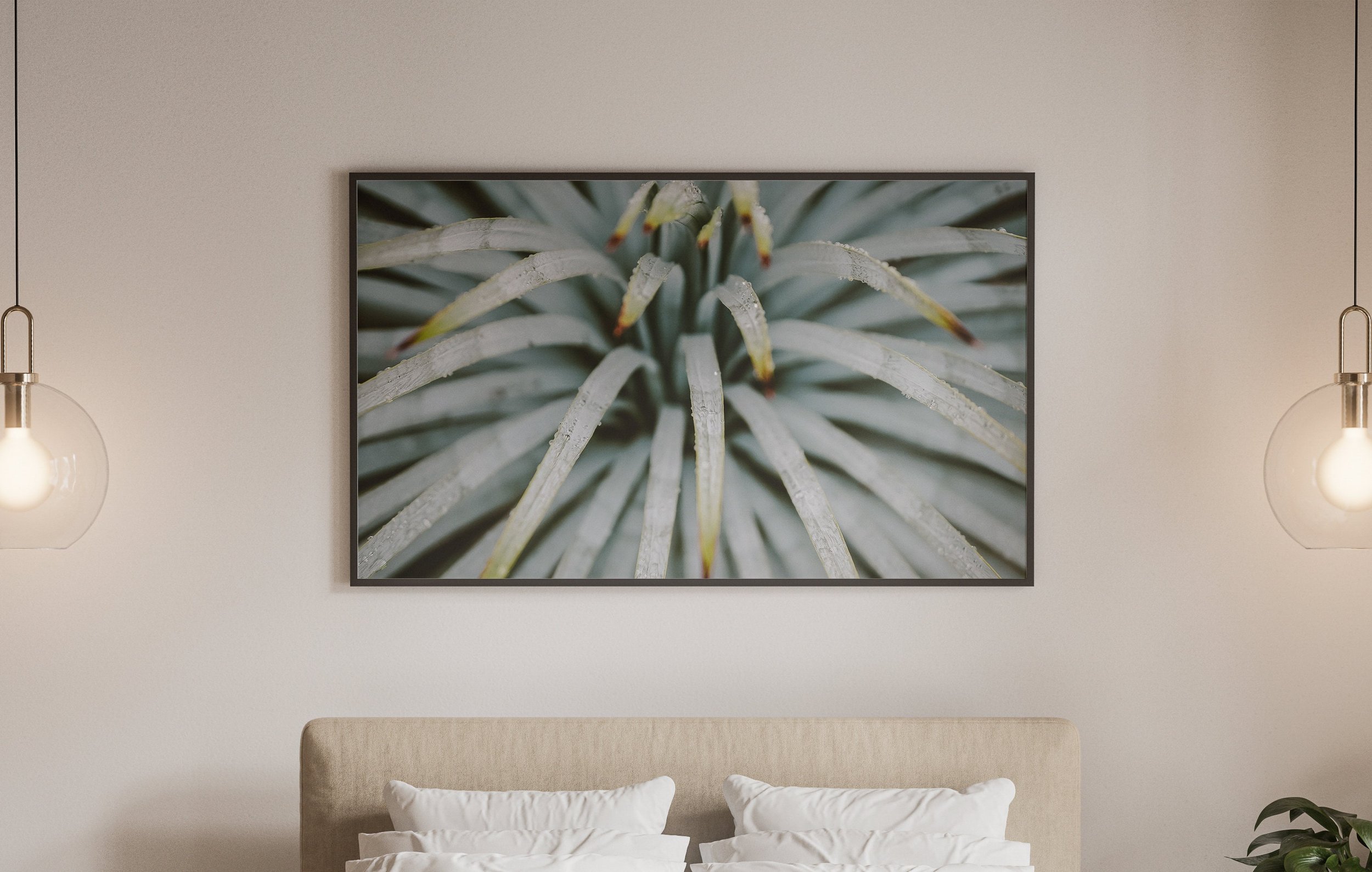 https://i.etsystatic.com/34522131/r/il/64a3bf/3738401778/il_fullxfull.3738401778_cwz5.jpg