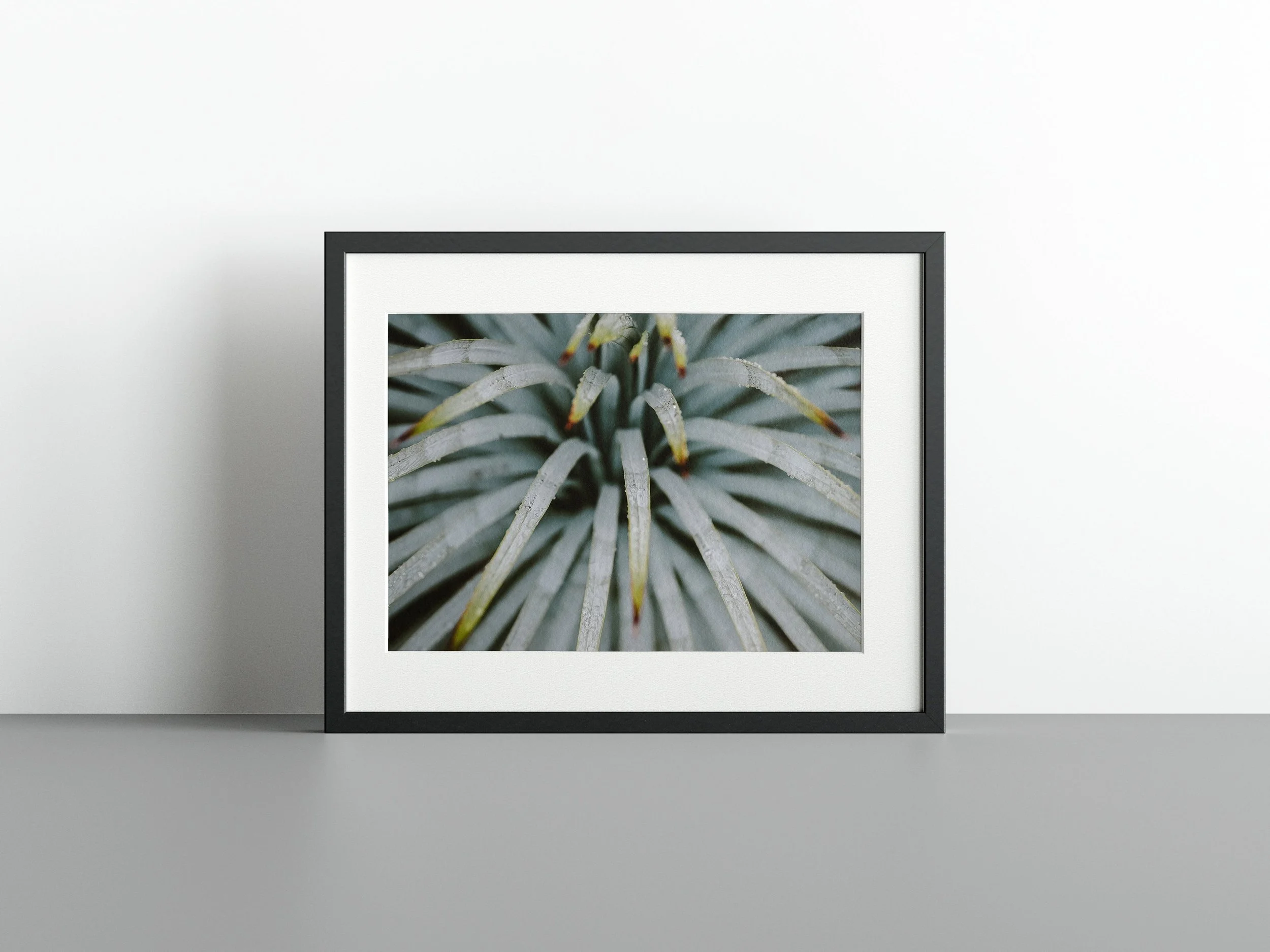 https://i.etsystatic.com/34522131/r/il/c0d898/3785990655/il_fullxfull.3785990655_q7hl.jpg