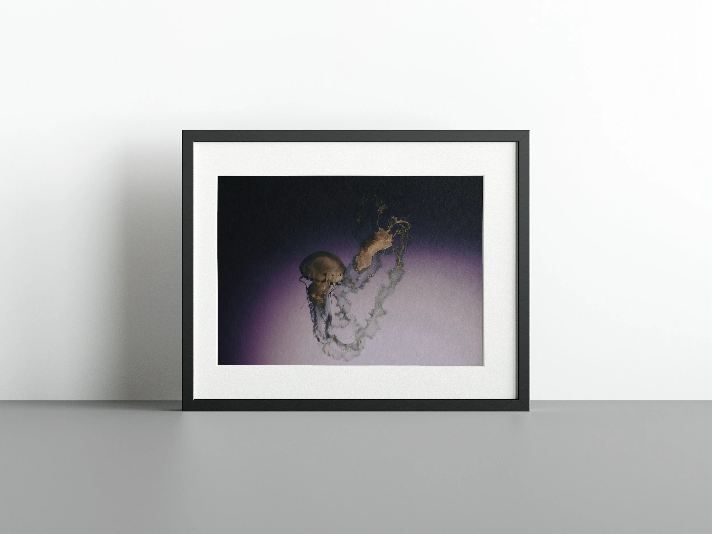 https://i.etsystatic.com/34522131/r/il/8efeef/3738397460/il_fullxfull.3738397460_4w9d.jpg