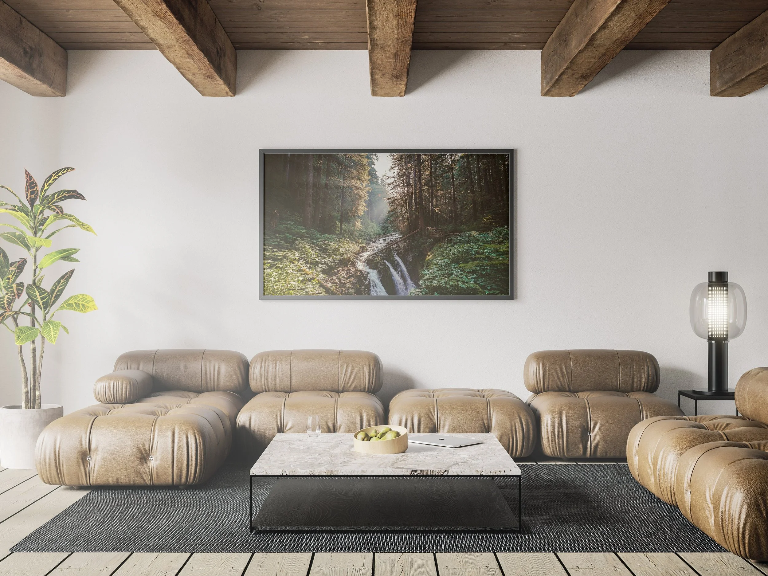 https://i.etsystatic.com/34522131/r/il/6e7774/3785915015/il_fullxfull.3785915015_cphj.jpg