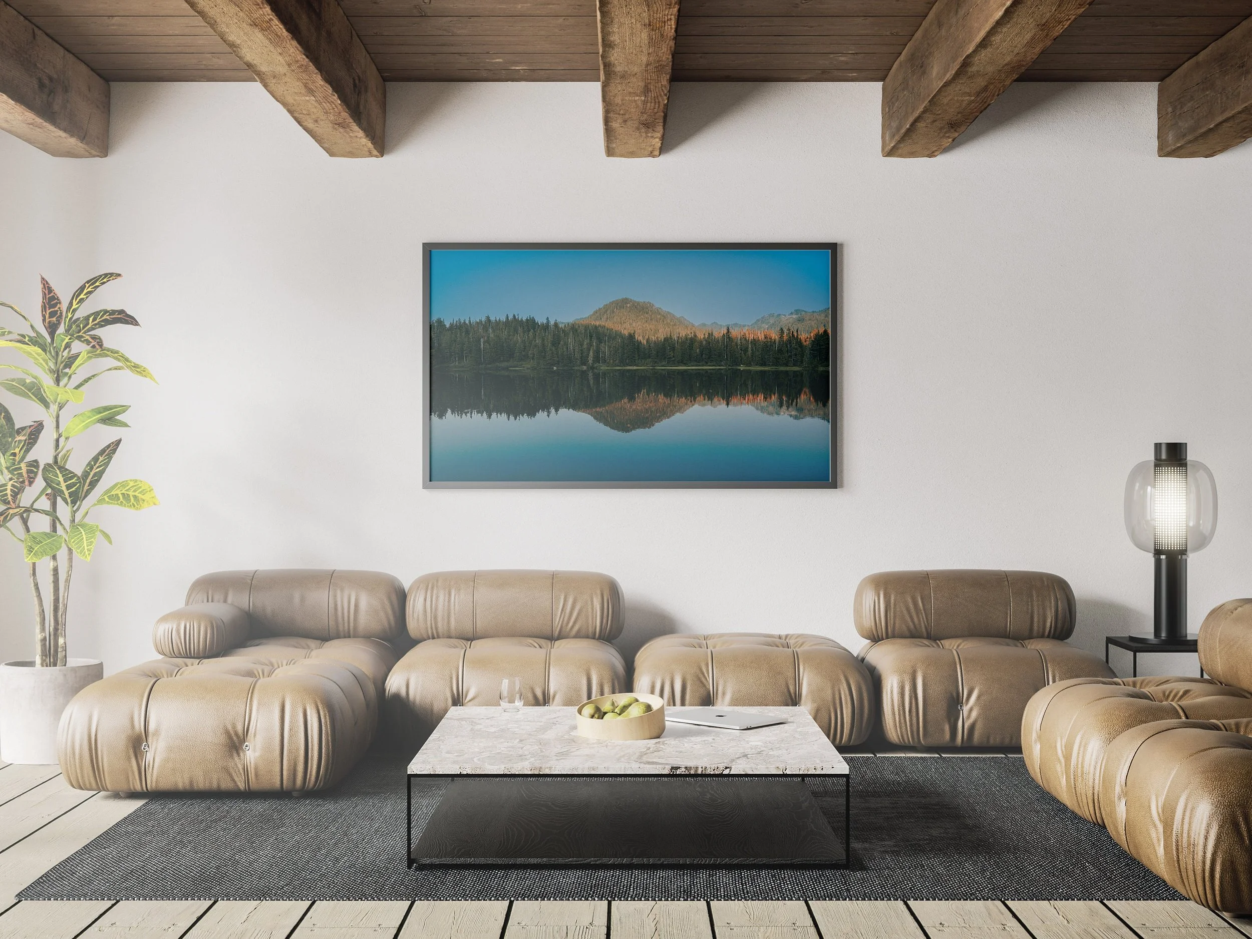 https://i.etsystatic.com/34522131/r/il/098e75/3785873517/il_fullxfull.3785873517_1pkx.jpg