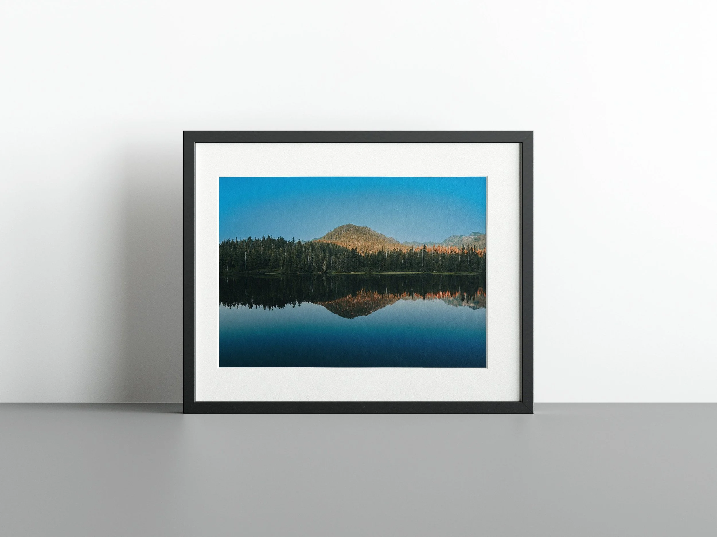 https://i.etsystatic.com/34522131/r/il/ba42bf/3785873469/il_fullxfull.3785873469_crl5.jpg