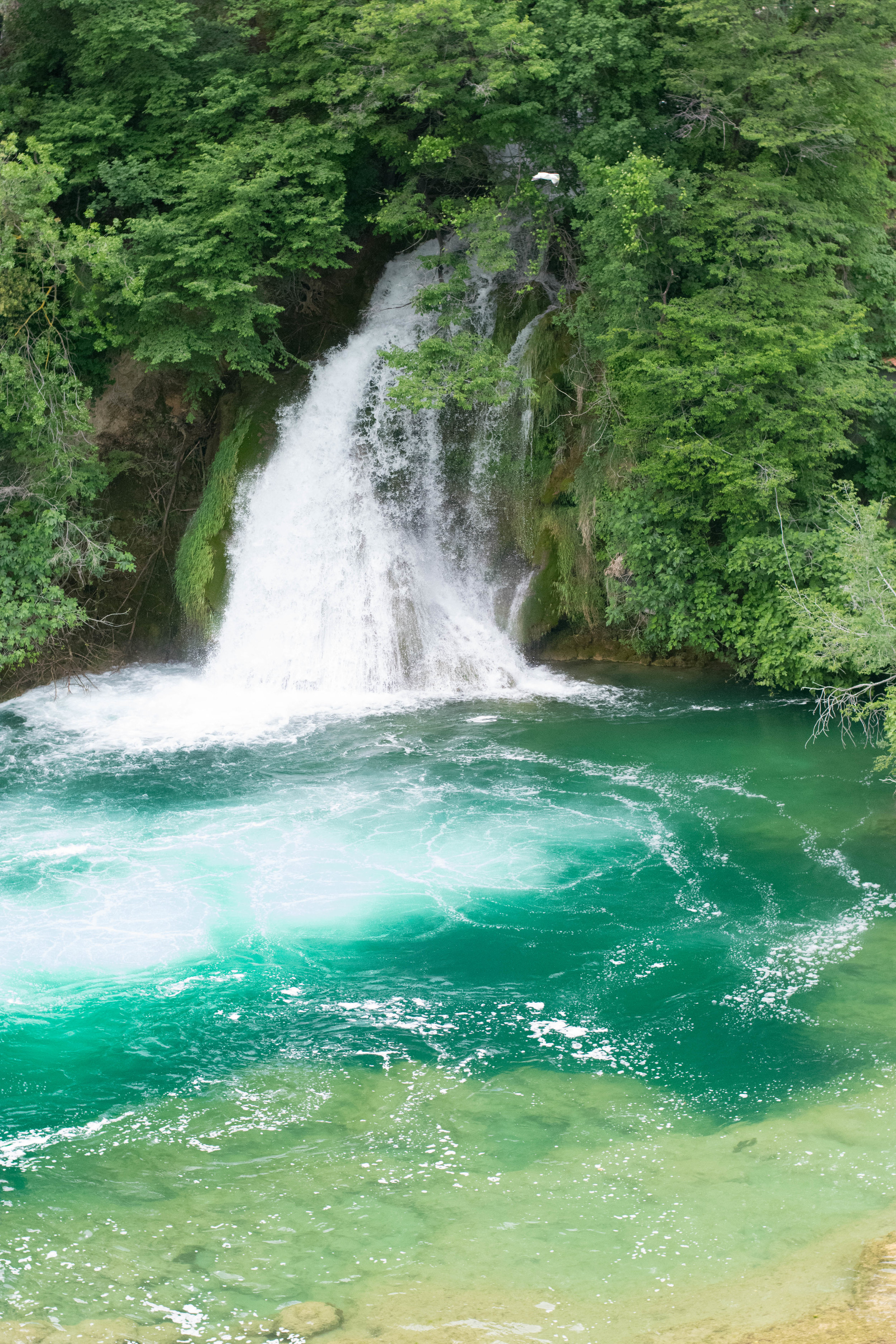 Krka-2.jpg