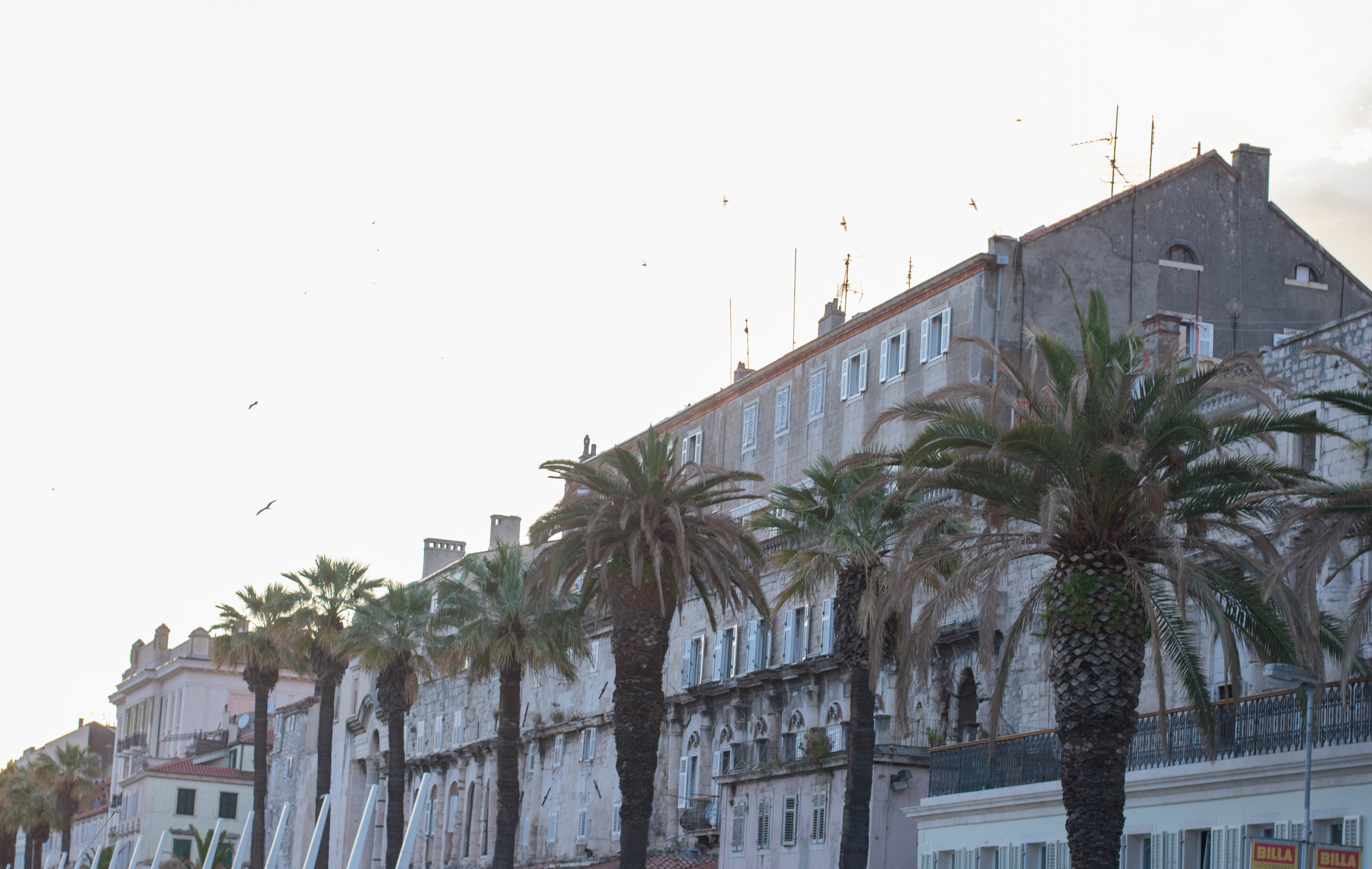 Split-1.jpg