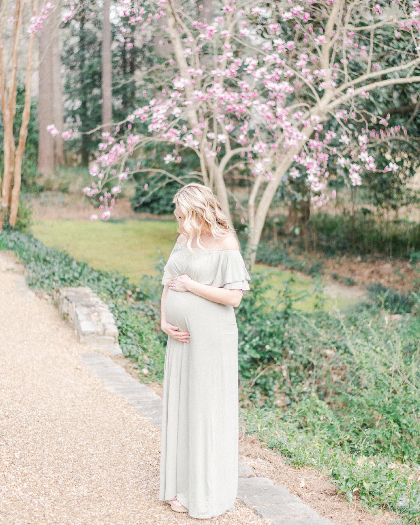 rude that japanese magnolias only stick around for a couple of weeks each year. 😒 such a gorgeous backdrop for this mama-to-be! 🌸