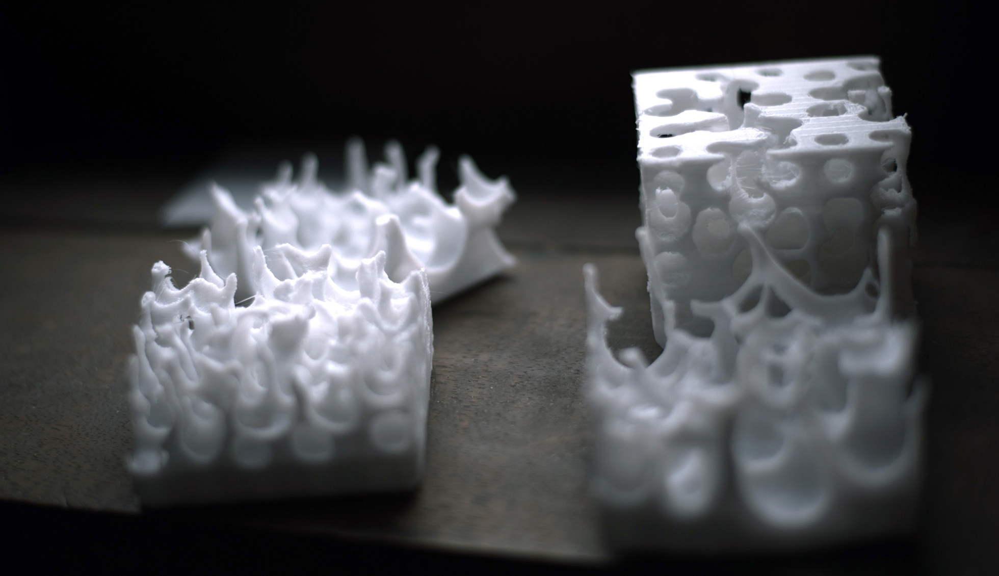 BioMorph 2015 BioMorph 2015 // 3d printed test