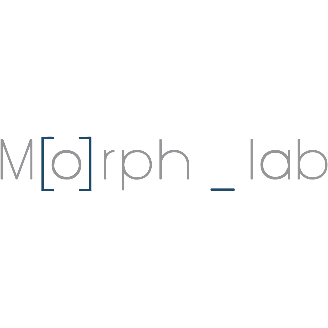 MorphLab // India Associate Partner Is a Mumbai-based practice comprising of architects and designers who have completed their formal education in EmTech, AA School of architecture, London. The studio sits at the intersection of design and research. Primarily focusing on parametric and generative computational design techniques operating within the fields of architecture, urbanism, research and development. Morph Lab aims to optimise the design which is responsive to its environment / function / user and context overall with which they have executed projects national and internationally.