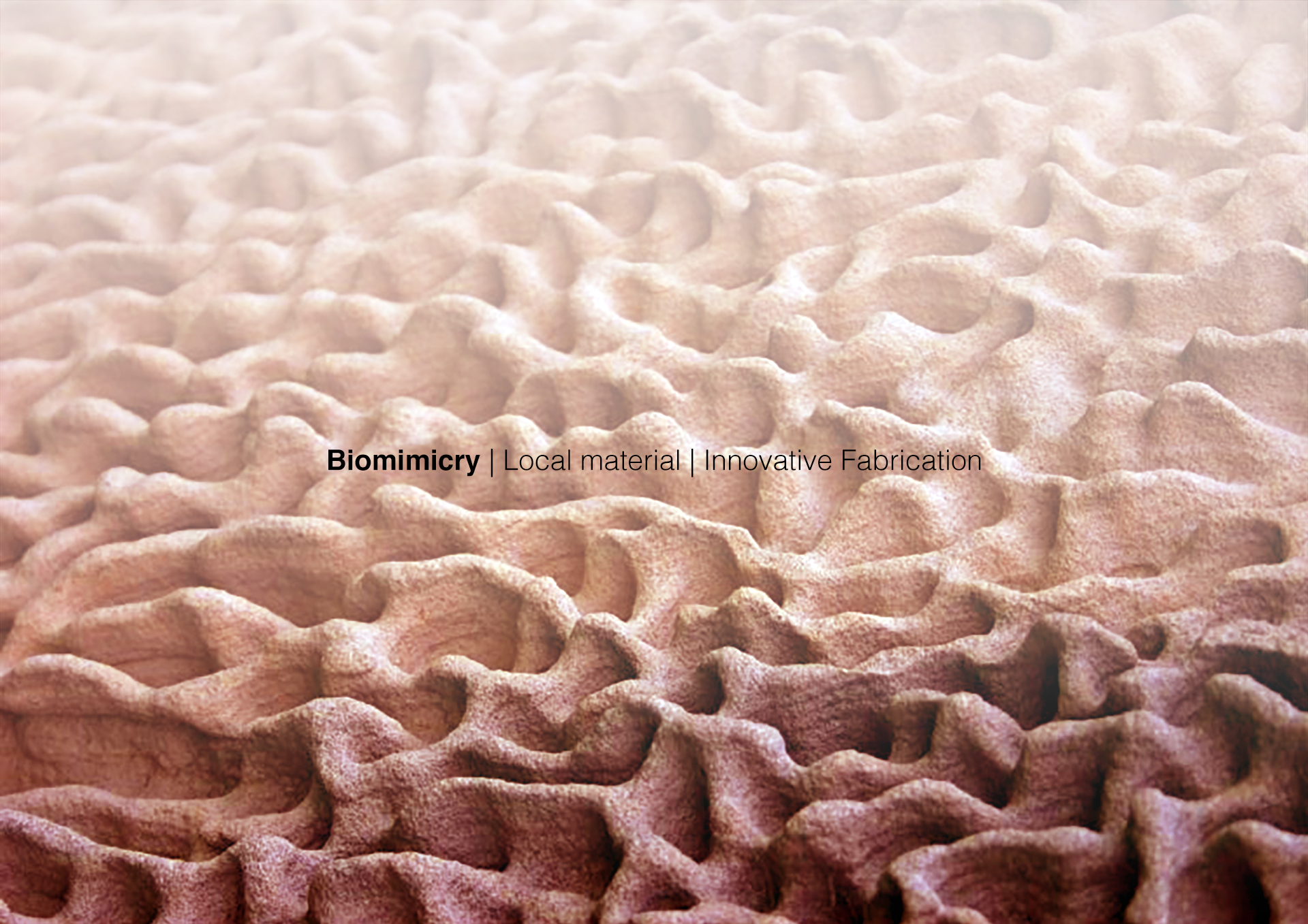 Biomimicry