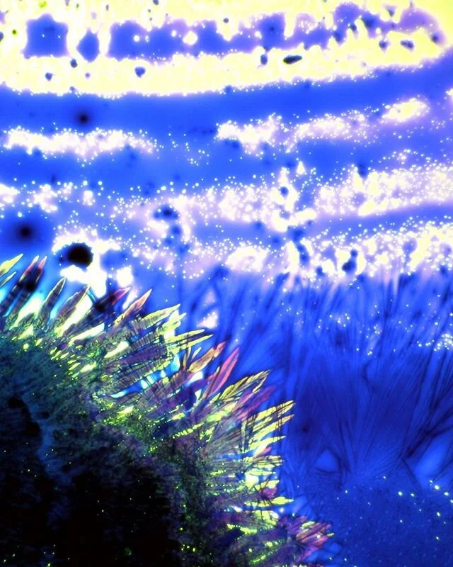 House on the hilt
Build you 
A kingdom
&mdash;
Microscopic art &copy; @mmicroww
&mdash;
#mmicroww #management
#abstract #microscopic #skyview #mystical #microscopy #abstractphotography #staryynight #skywatcher #milkyway #ecliptic #myviewtoday #macro 