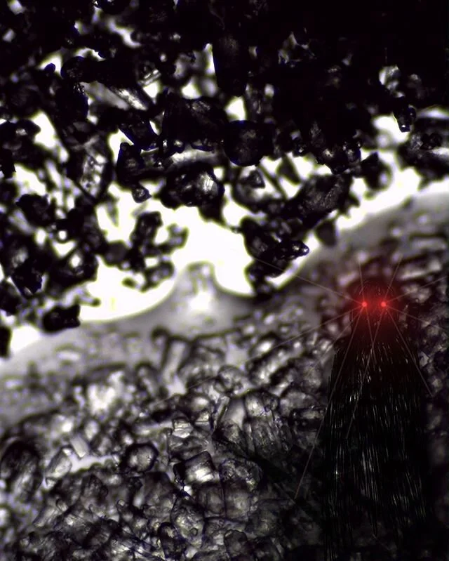 Just because you can&rsquo;t see it
Does it mean it&rsquo;s not there?
&mdash;
Microscopic art &copy; @mmicroww
&mdash;
#mmicroww #multiverse
#microscopic #otherworld #hidden #landscape #whatliesbeyond the #visiblespectrum ? #alternateuniverse #unsee