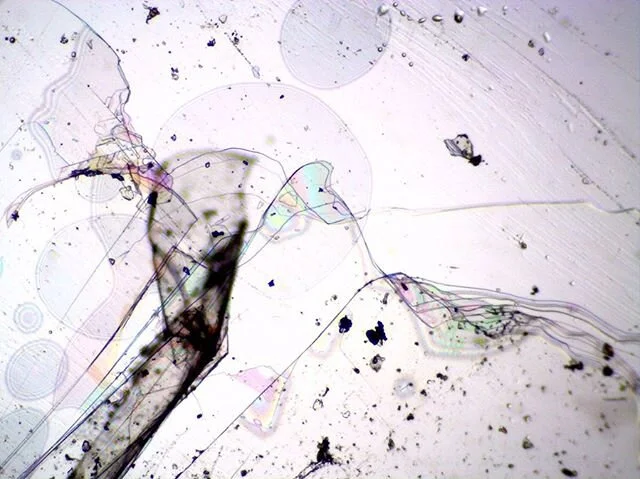 #mica #mountainclimbing today🌀🏔🔬
&mdash;
(no color added!☝️)
&mdash;
Microscopic art &copy; @mmicroww
&mdash;
#mmicroww #mountainous
#wissahickon #schist #abstractphotography #mystical #microscopy #majesty is #scaleinvariant #purplemountainsmajest