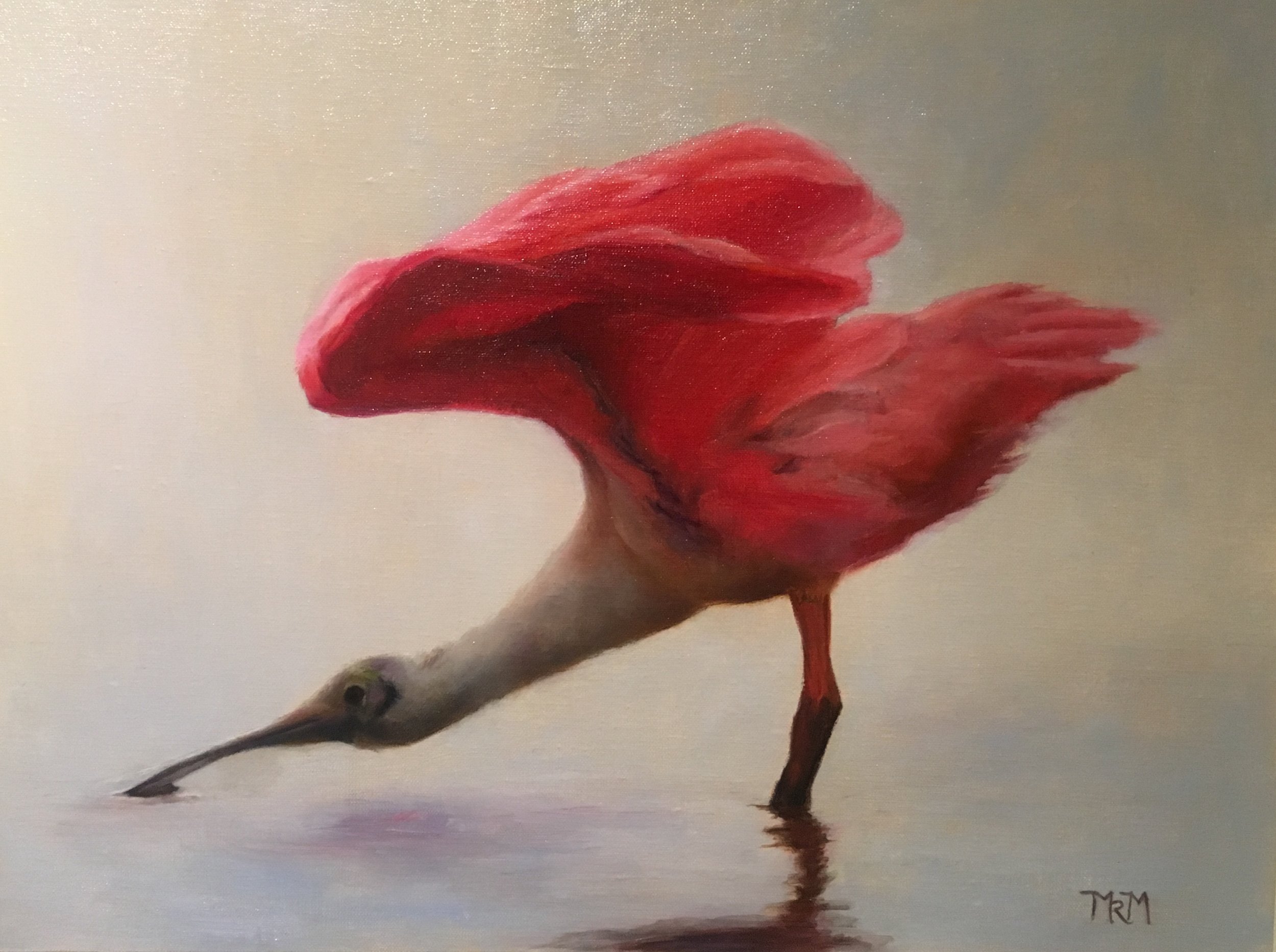 Roseate Spoonbill, 2017, oil on canvas, 12 x 16 in. Private collection. Prints available.