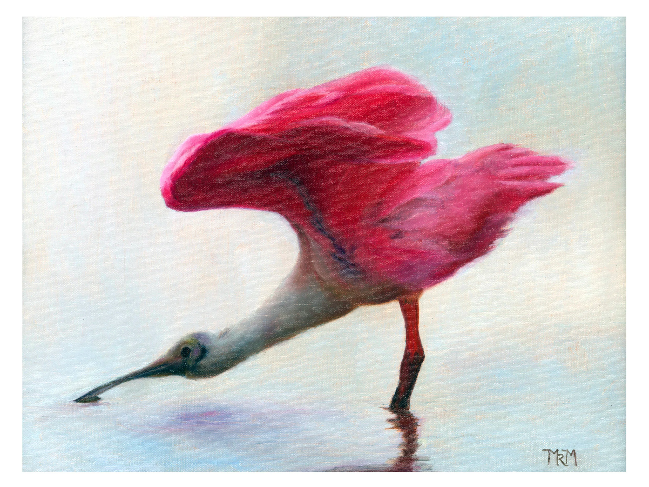 MESSER_Spoonbill_web2.jpg