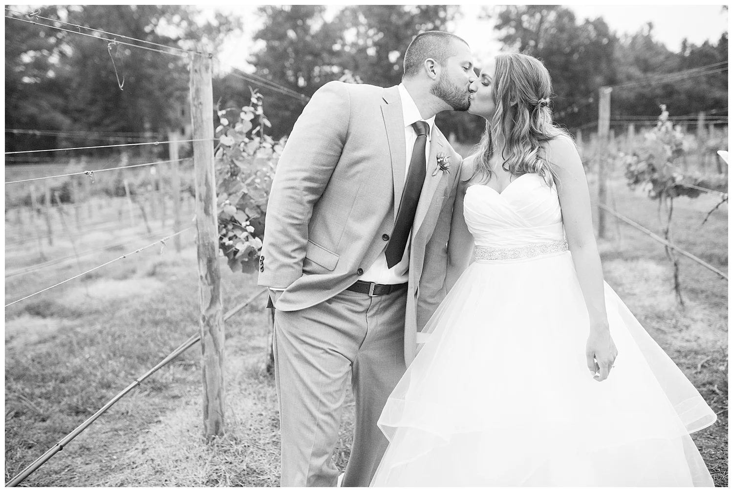 Ashton-creek-vineyard-56.jpg