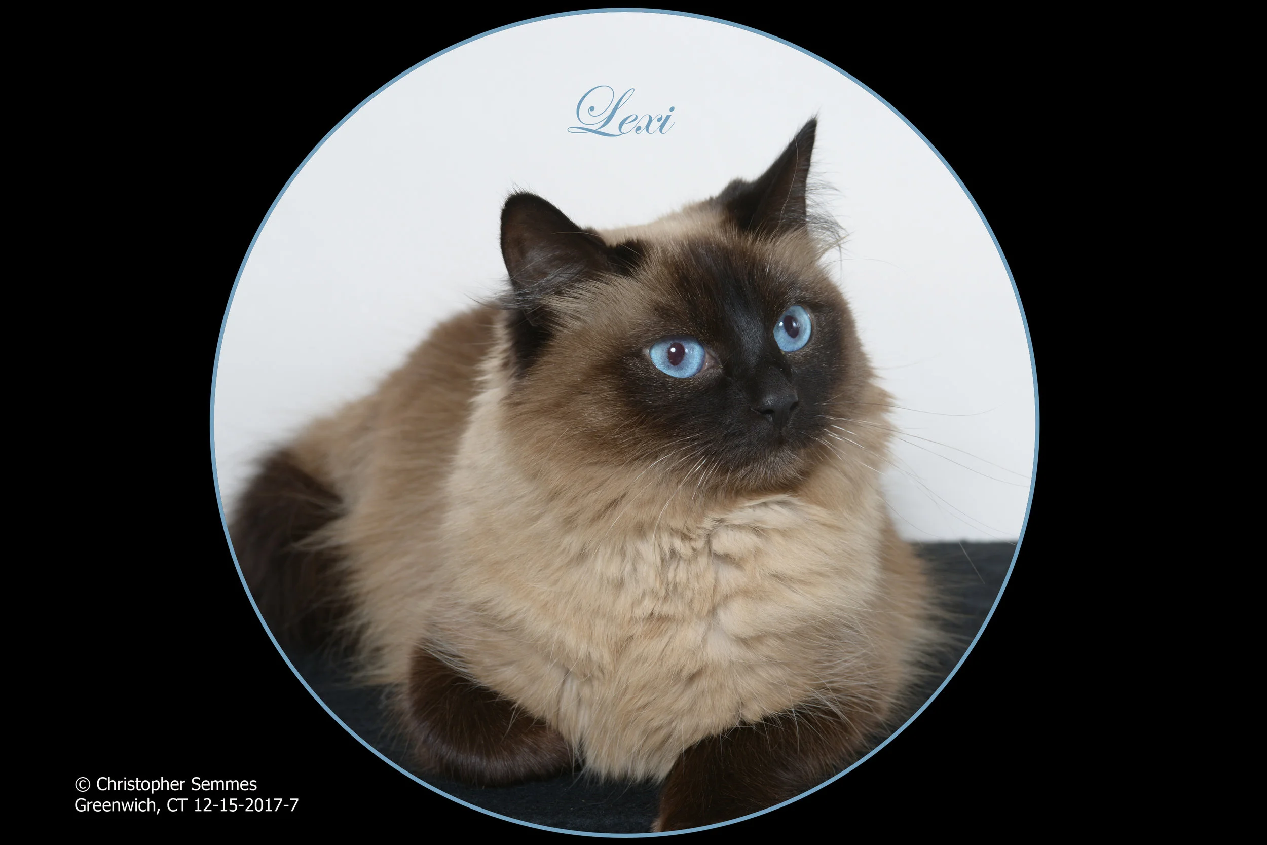 Lexi_without_background_FINISHED12X8.jpg
