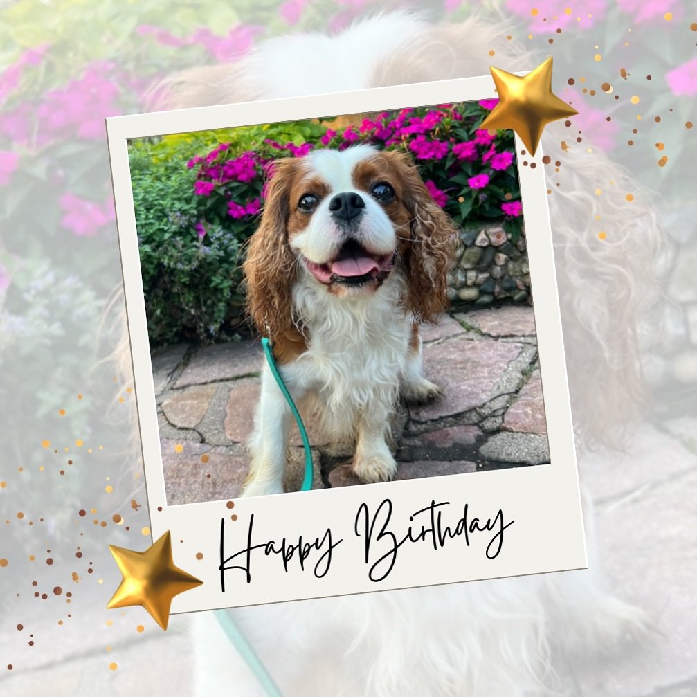 🧁 In honor of Henry&rsquo;s 9th Birthday, we&rsquo;re offering 9 classes for $90! Today only! 
🧁Purchase through our app or link in bio!