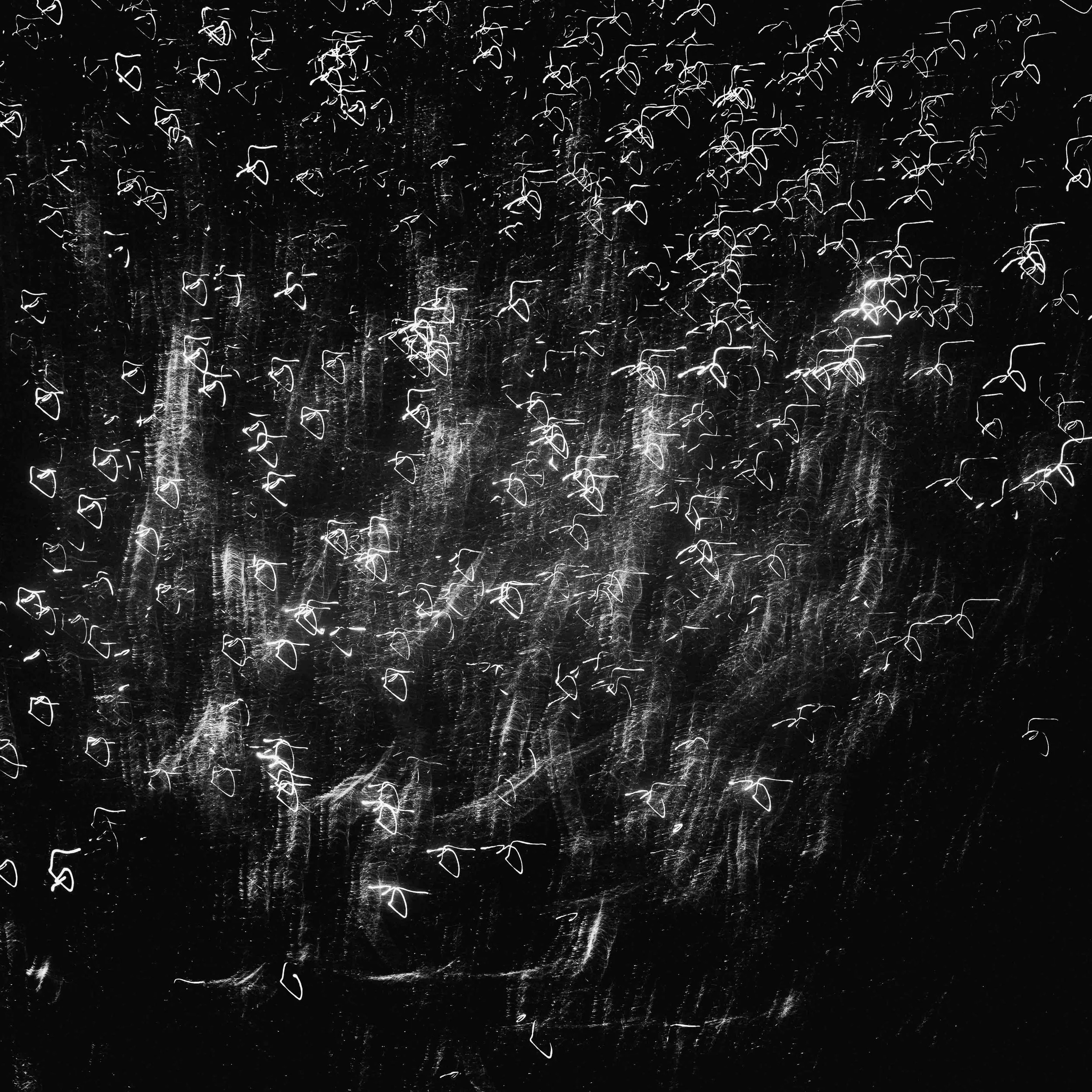 fireworks-3.jpg