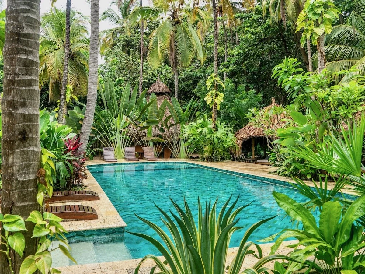 Gitano Del Mar (SMALL).jpeg