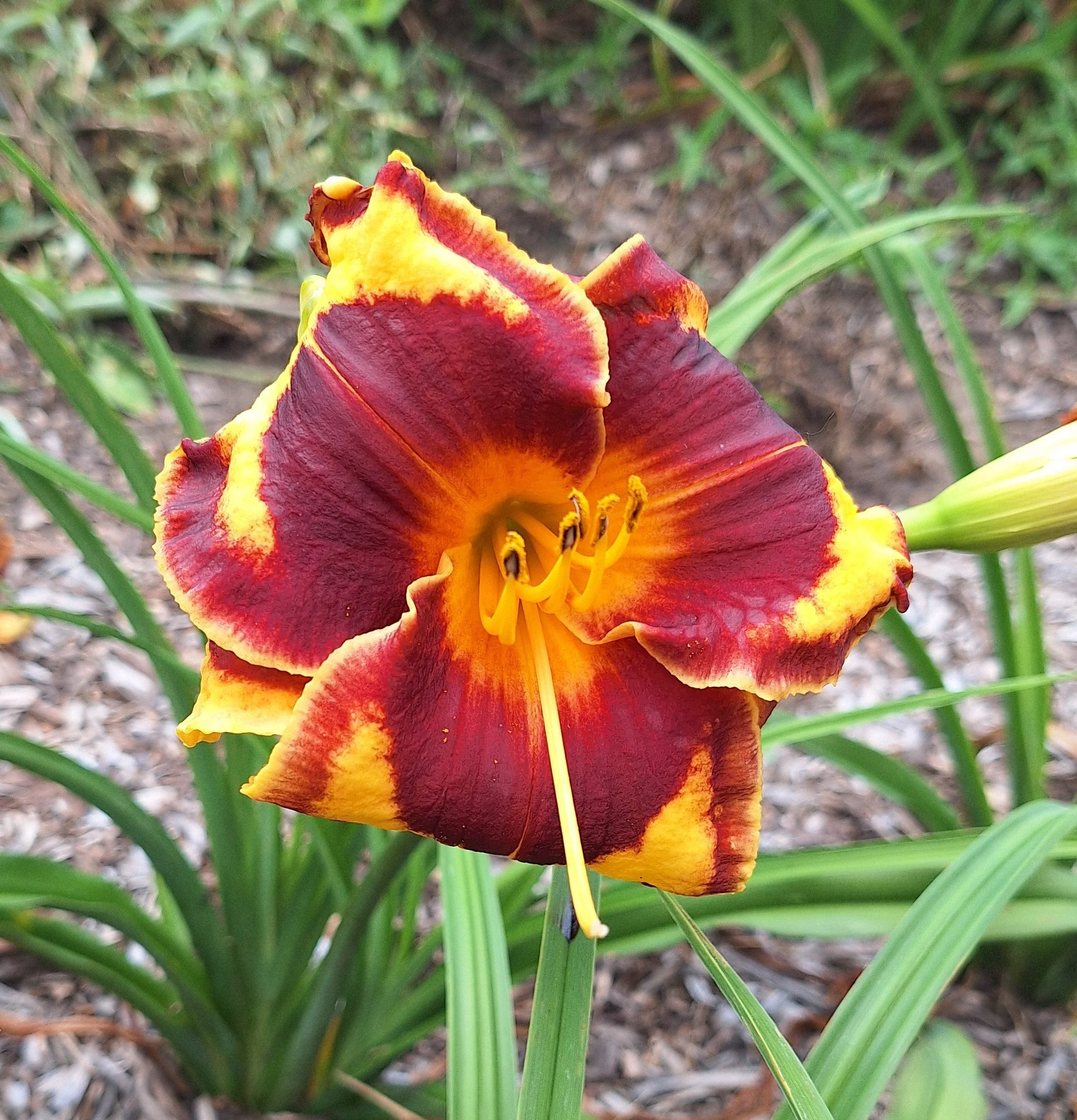 20260707_125755.jpg