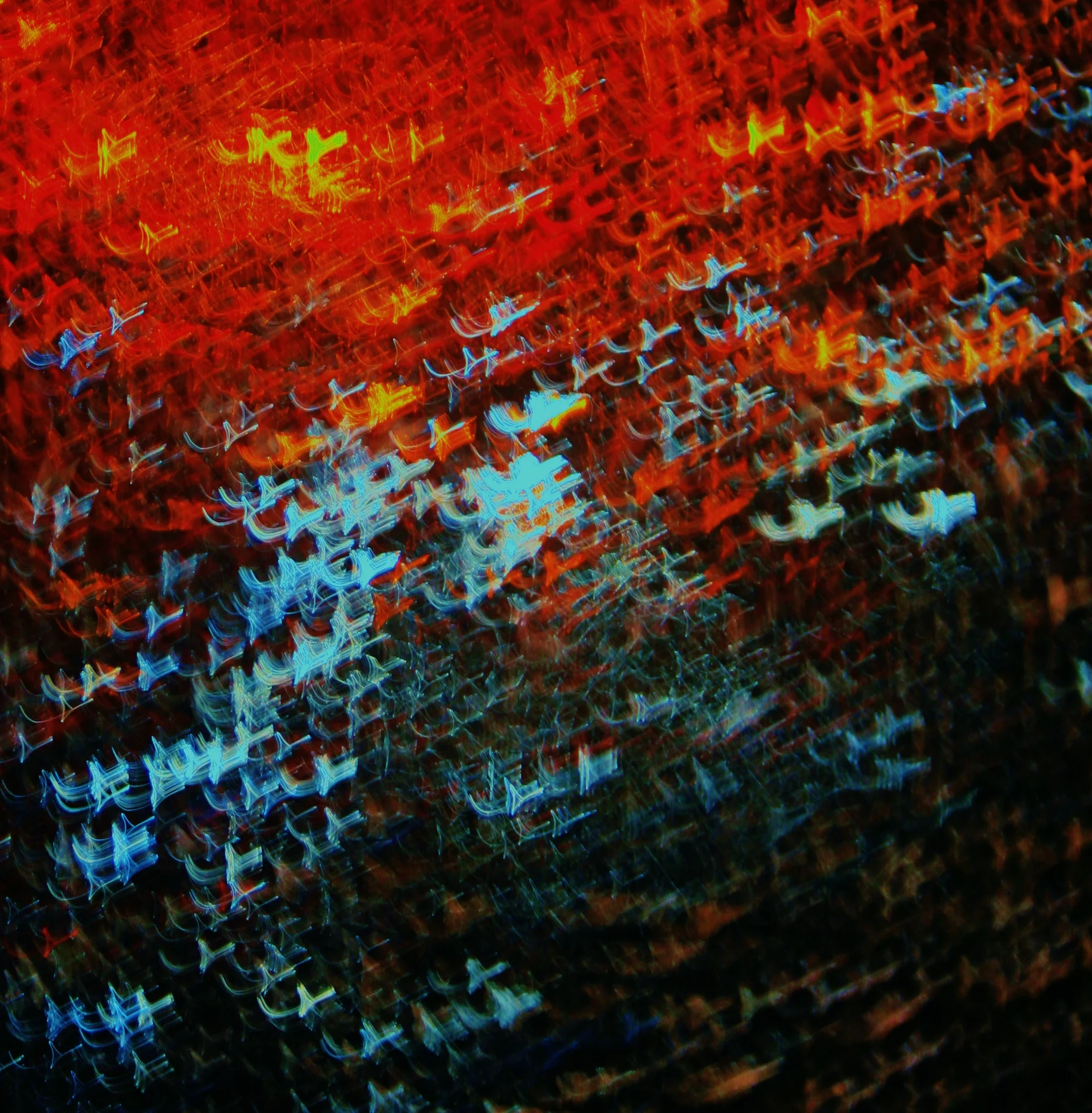photo flock of fire and ice (2).jpg