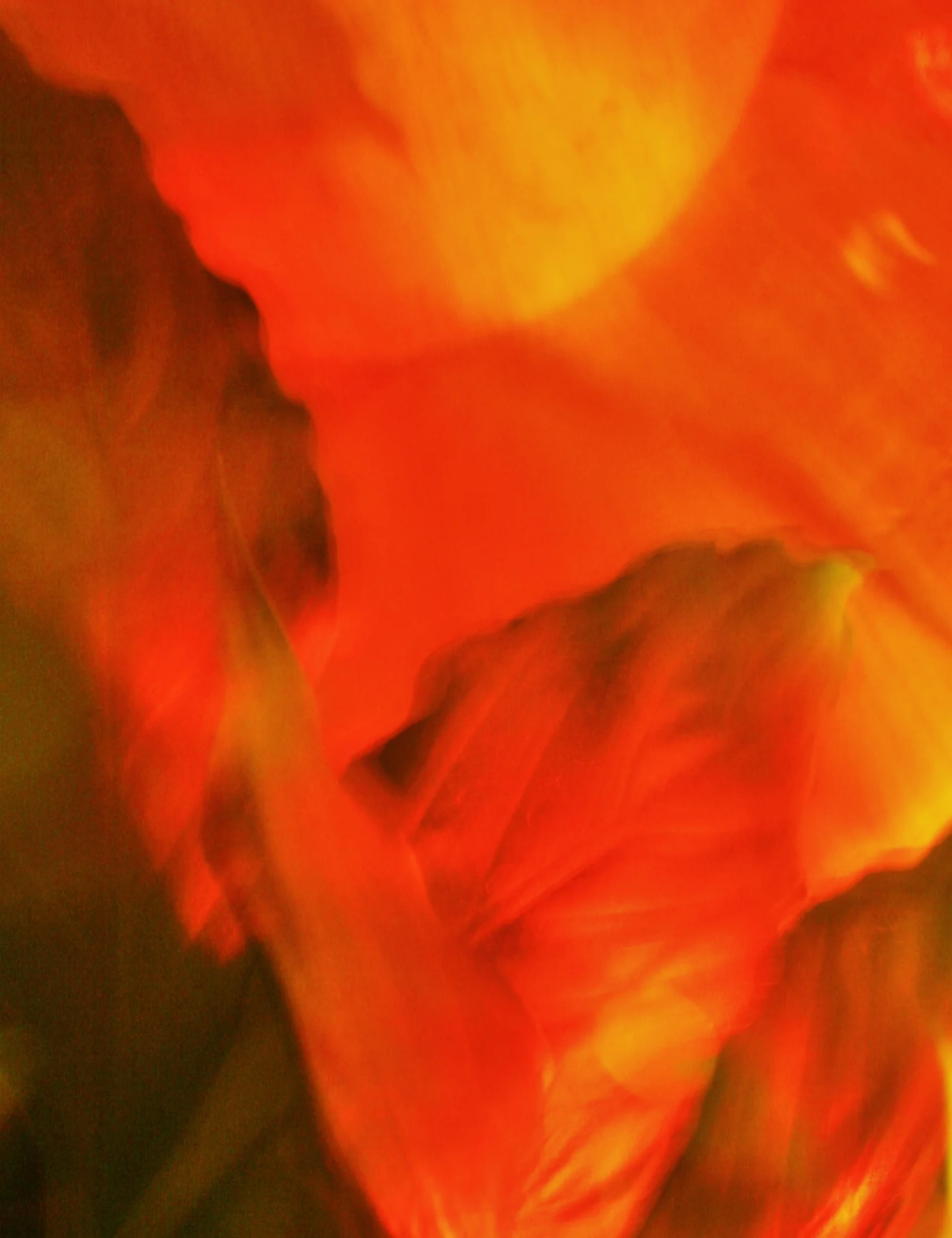 photo iris.jpg