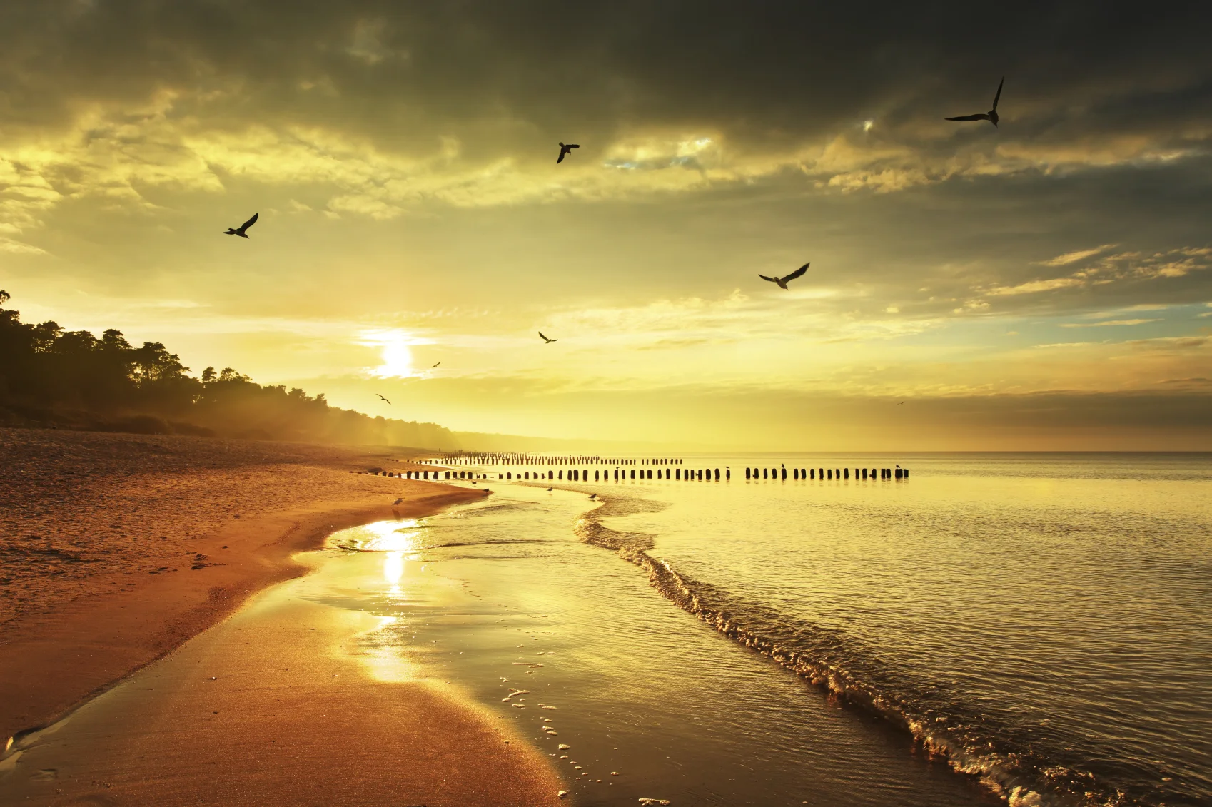 Testimonial for the Holistic outpatient counseling center for drug and alcohol addiction, substance abuse and mental health counseling in Miami, Florida.