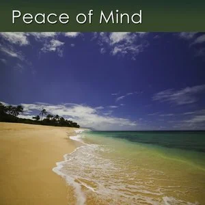 Peace-of-Mind1400x1400.jpg