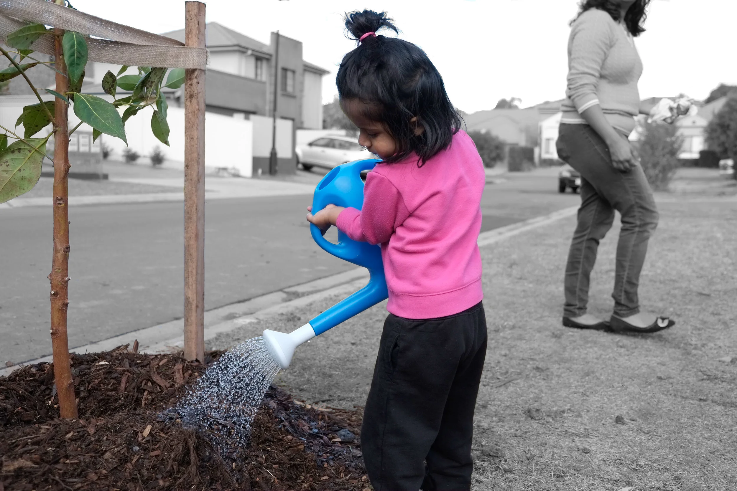 Cool Streets is an intiative to empower communities to cool the planet, one street at a time.