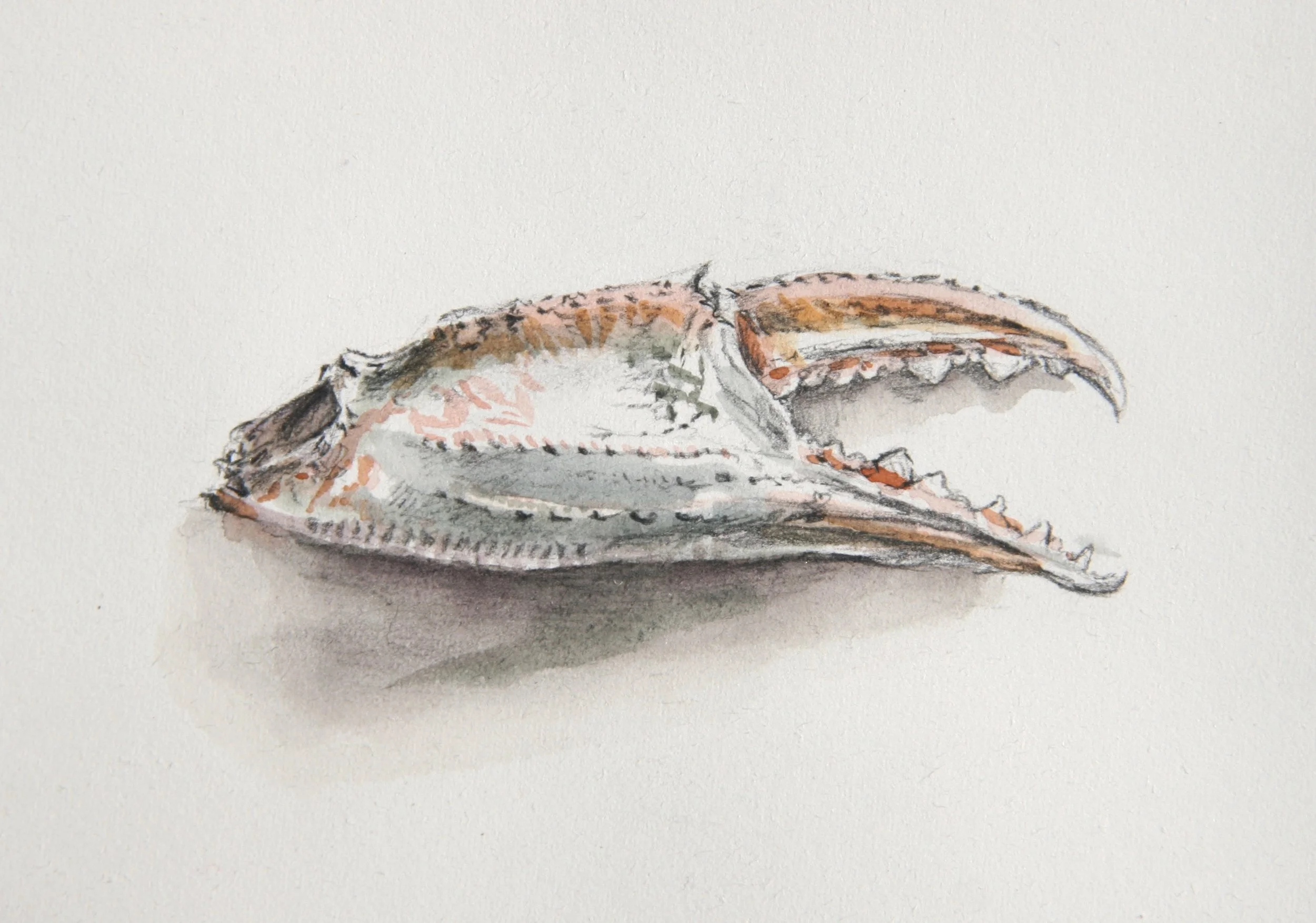 Five Feet Under Flinders Pier 