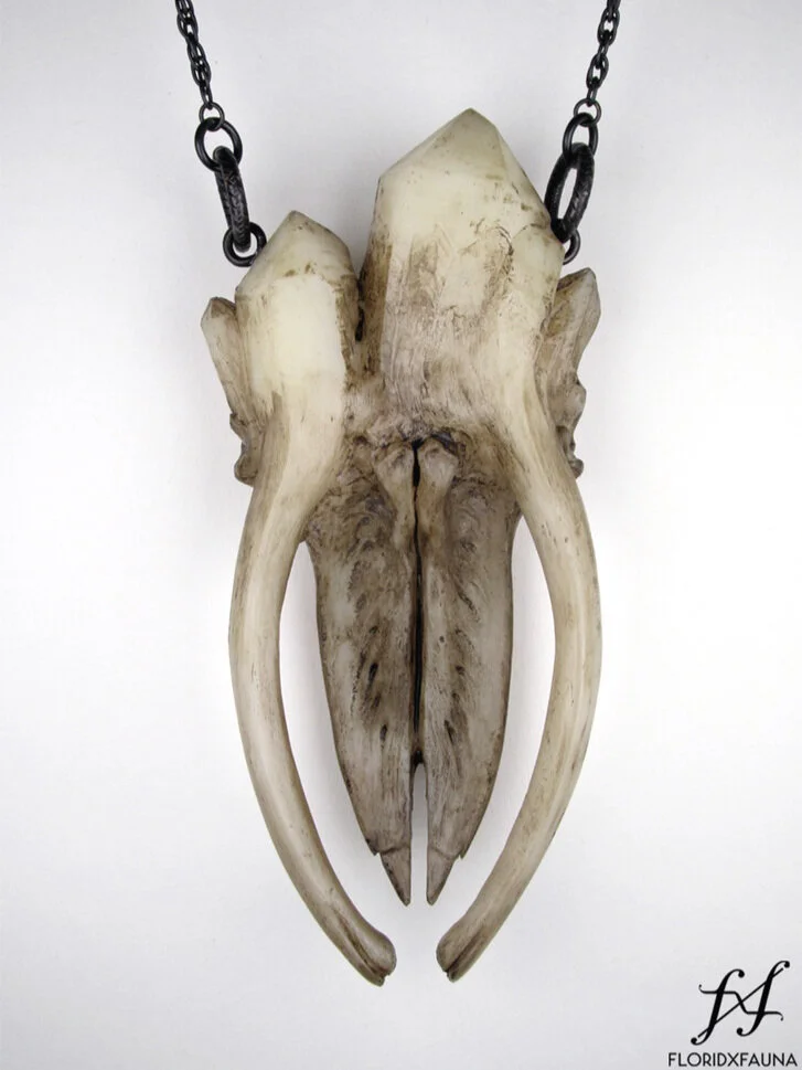 largewhalebacknatural.jpg