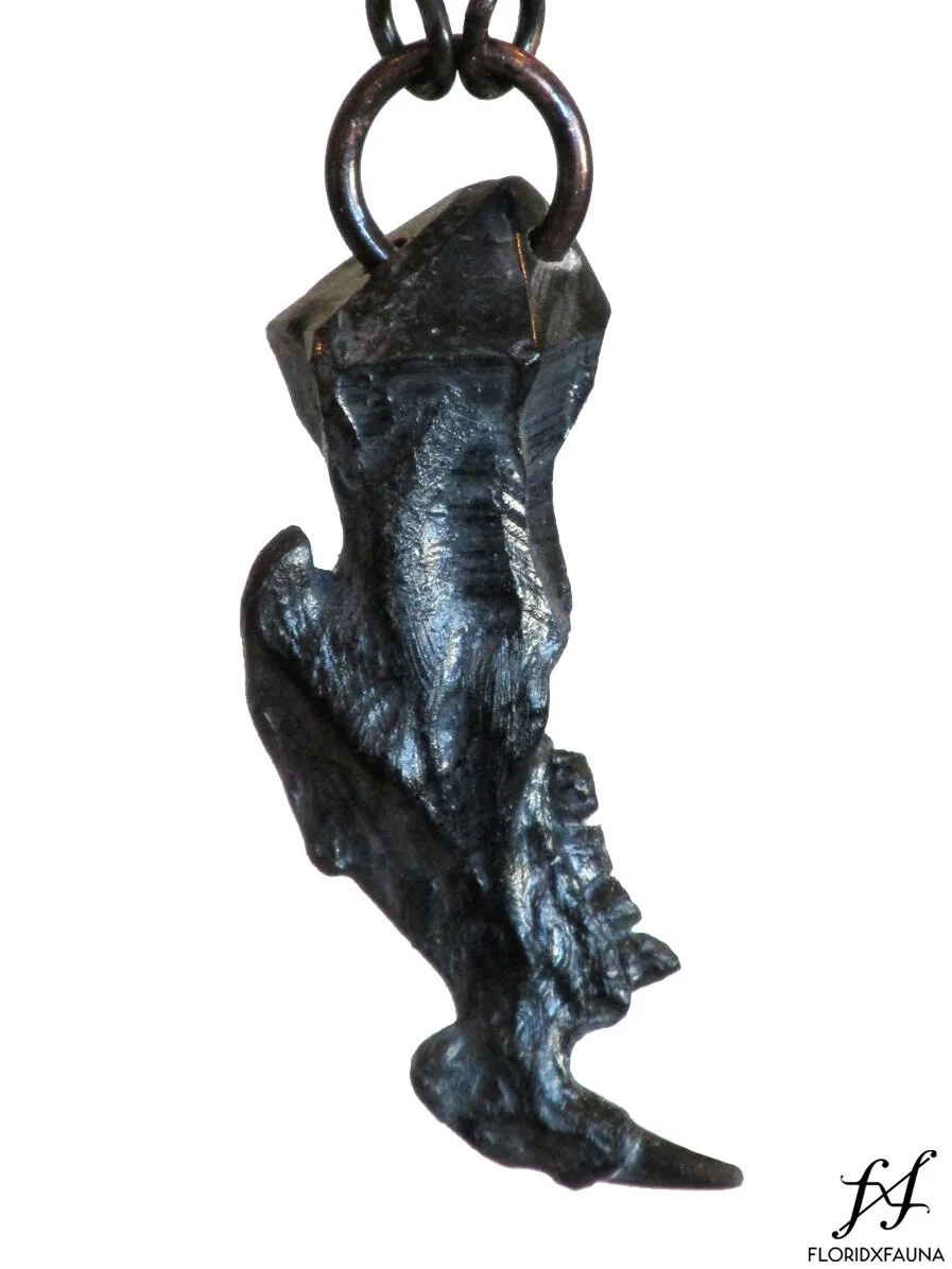 jawback.jpg