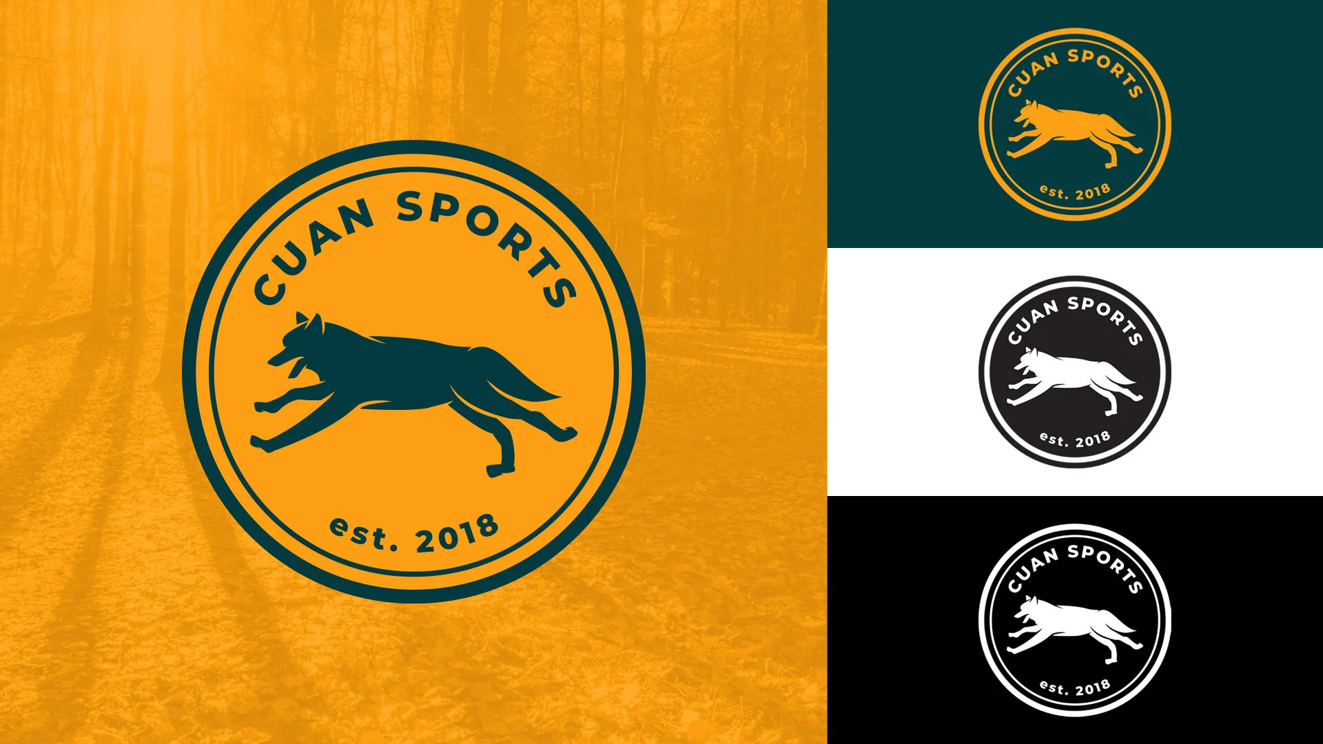 CuanSports_LogoVaiations