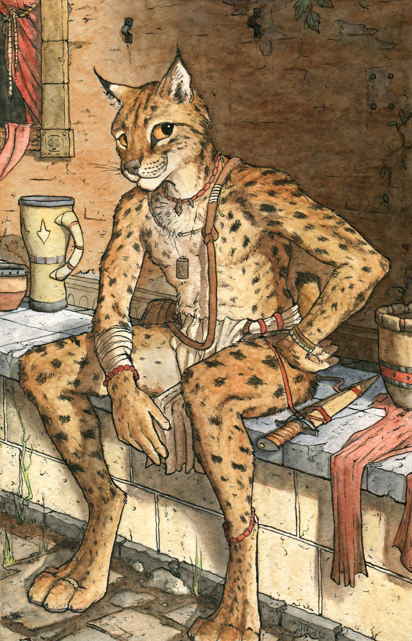 Casual Lynx