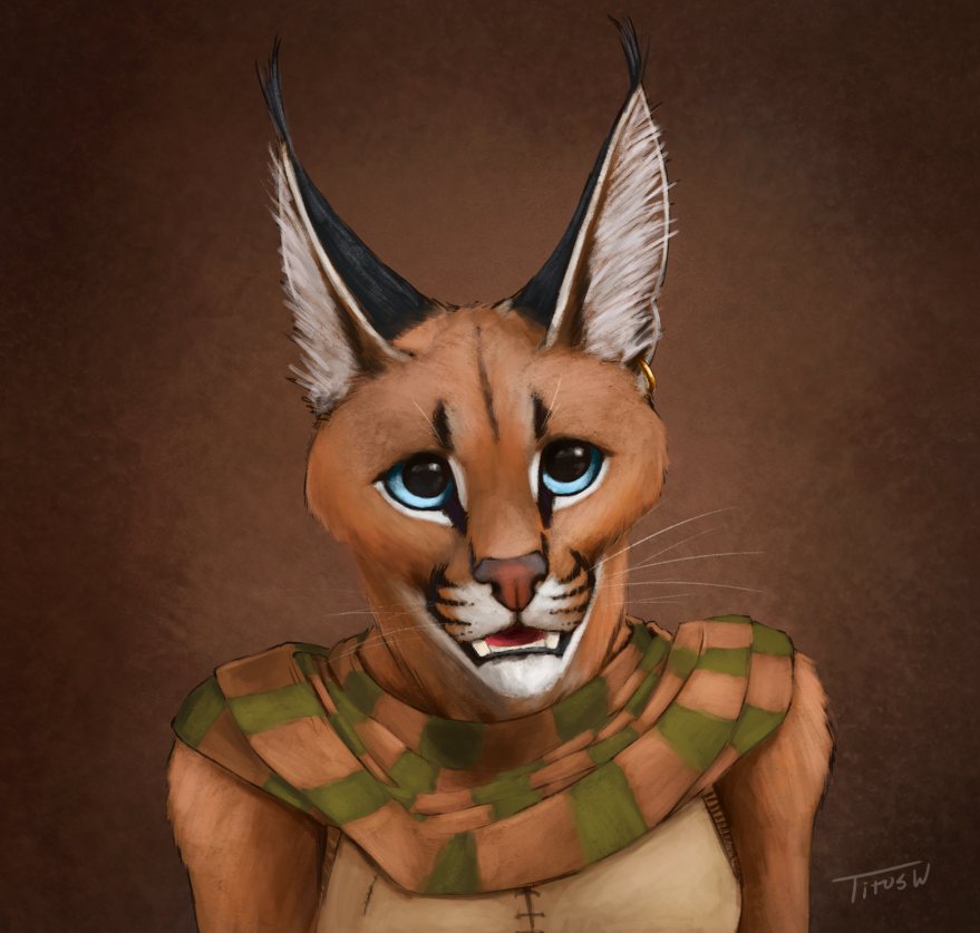 Shadi Portrait 2