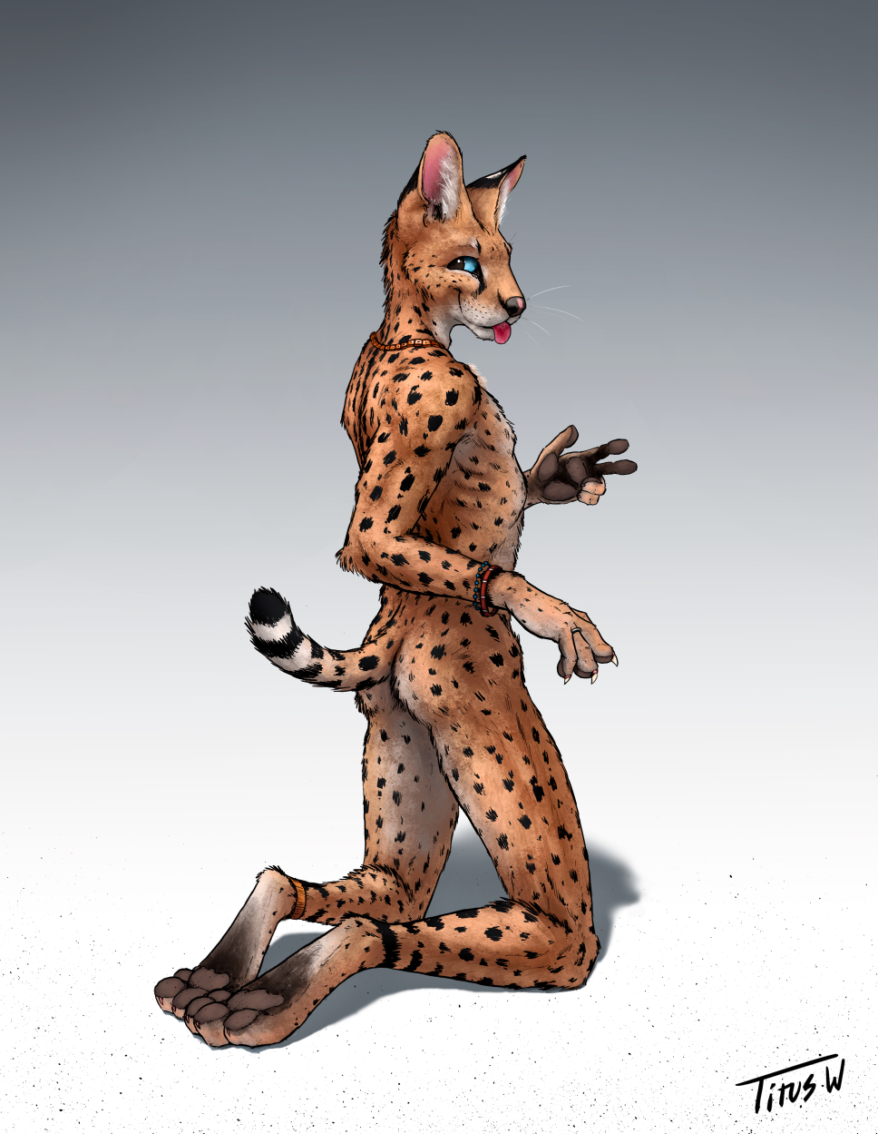 Playful Serval