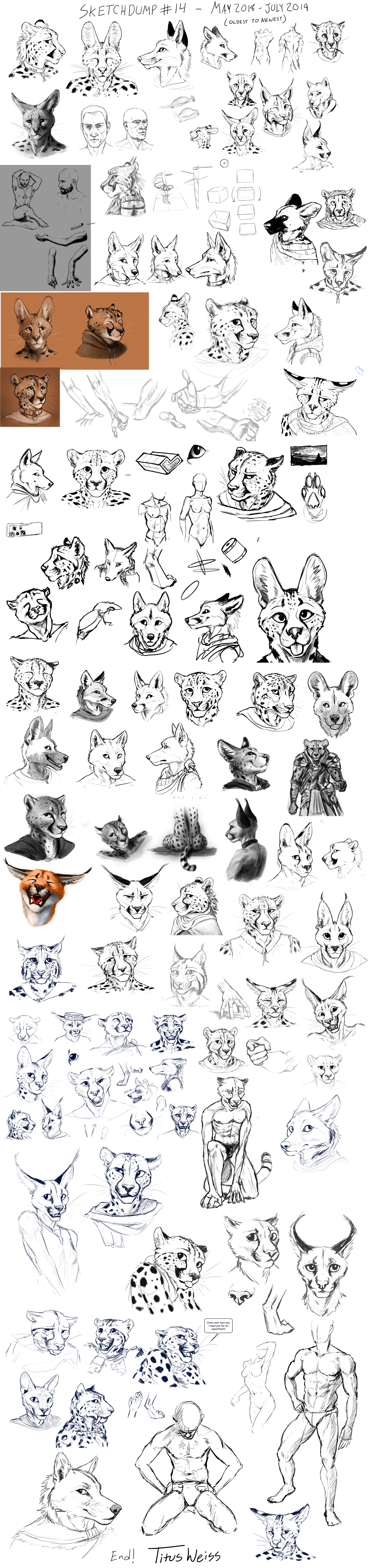 Sketchdump #14
