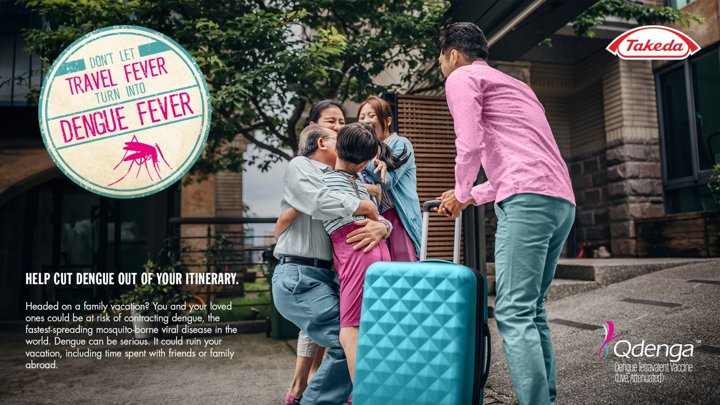Takeda Traveler VFR and Traveler Fever 9.6-3.jpg