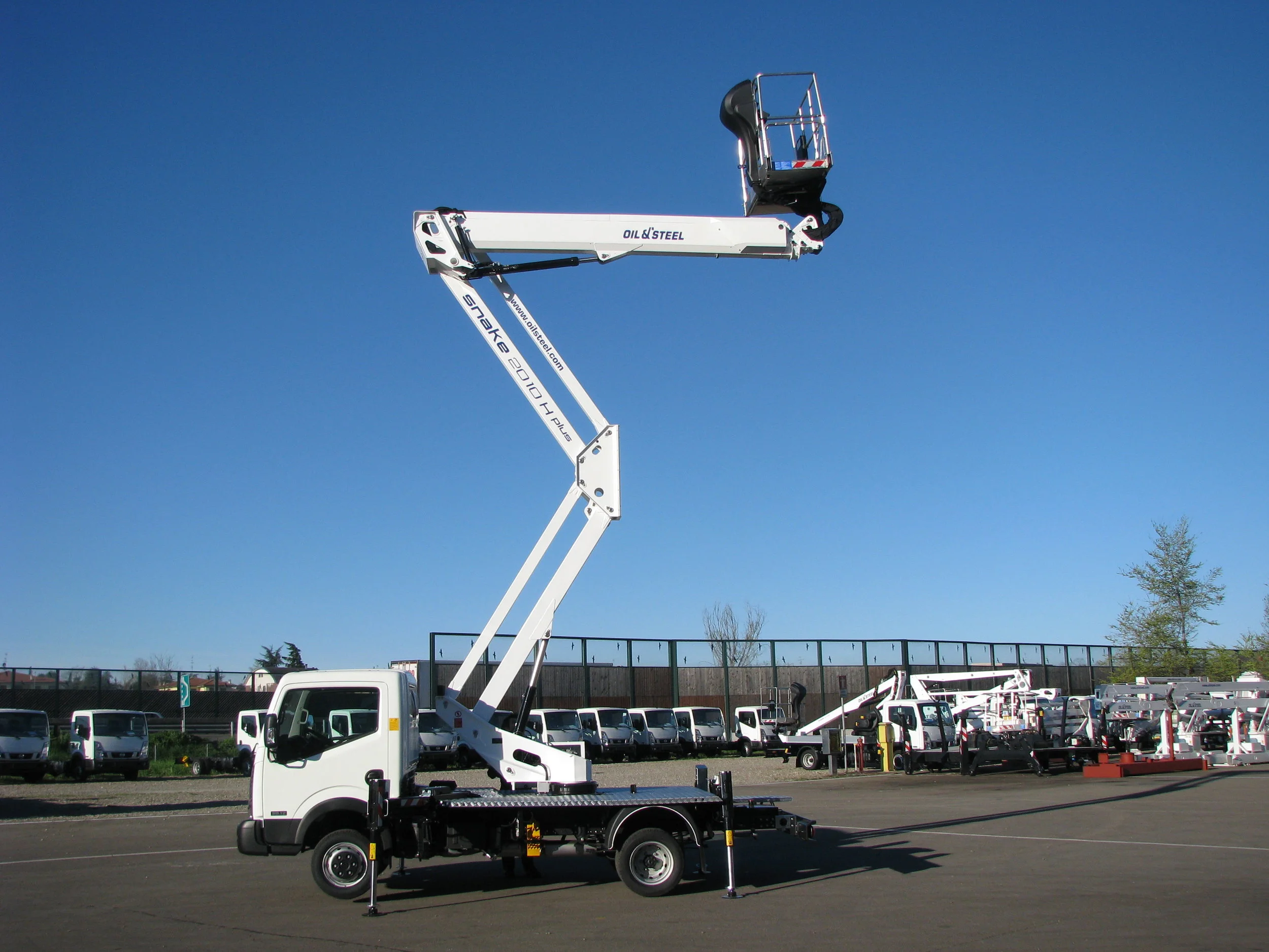 snake 2010 h plus 03.JPG