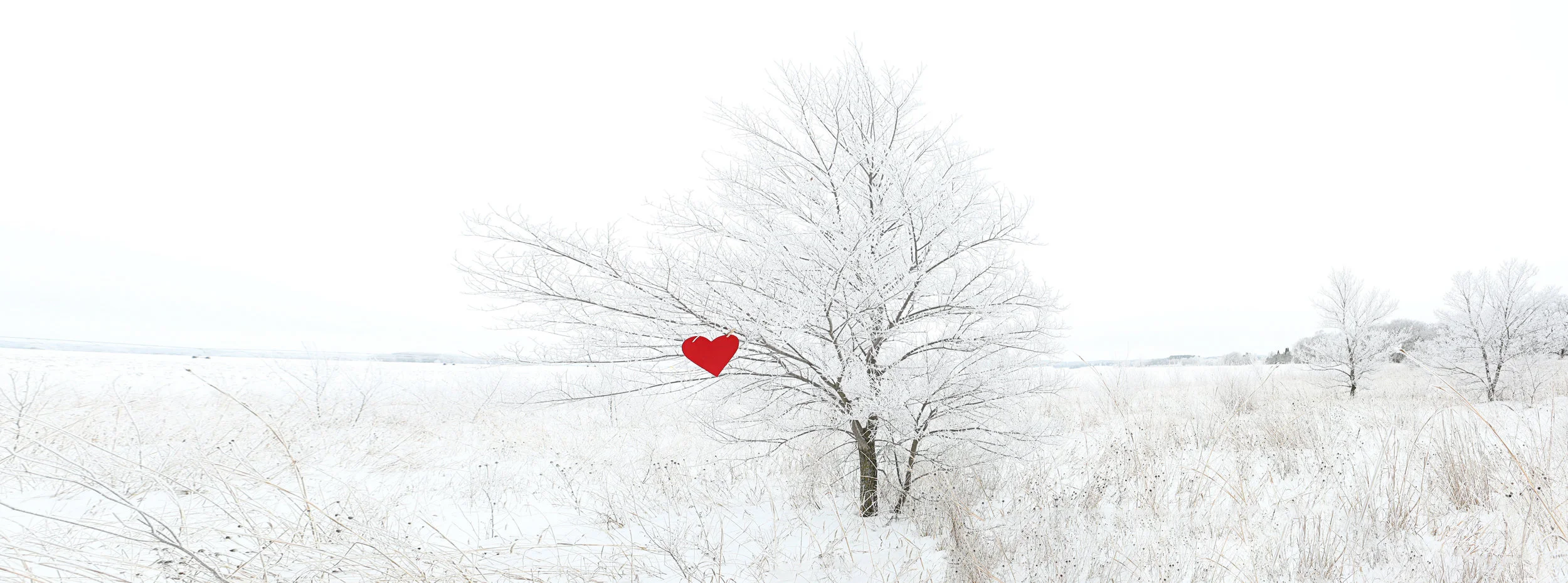 Final HD Frosty Tree.jpg