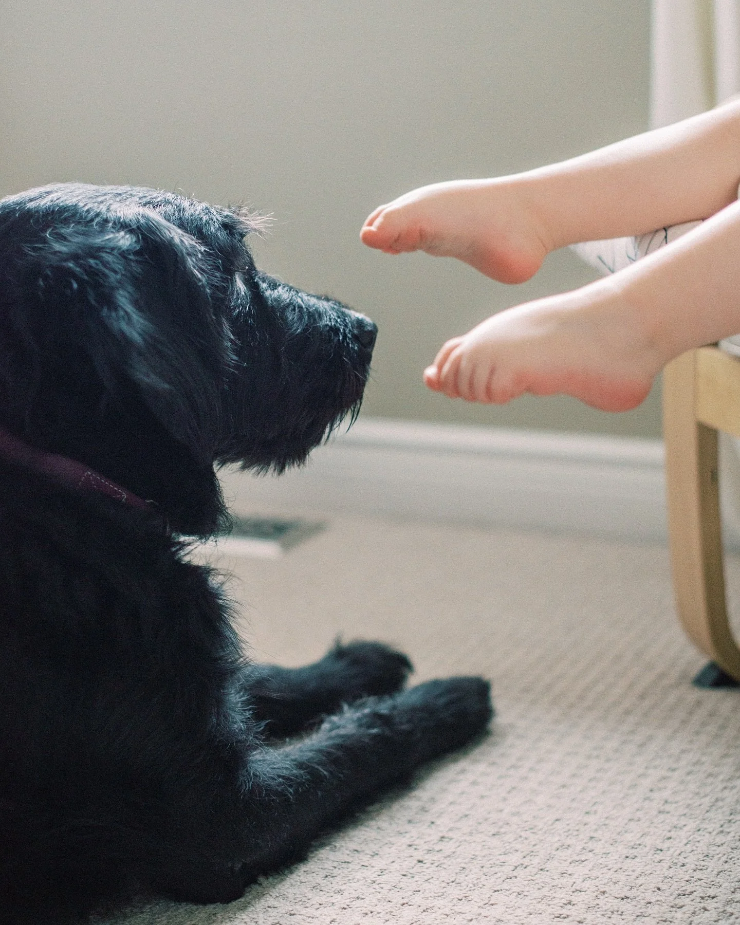 Motherhood is practicing &ldquo;radical acceptance&rdquo; while your toddler eats her boogers for the 10th time after telling her not to.

Happy Mother&rsquo;s Day to all who are learning to let go of the stuff not worth fretting about. I think they 