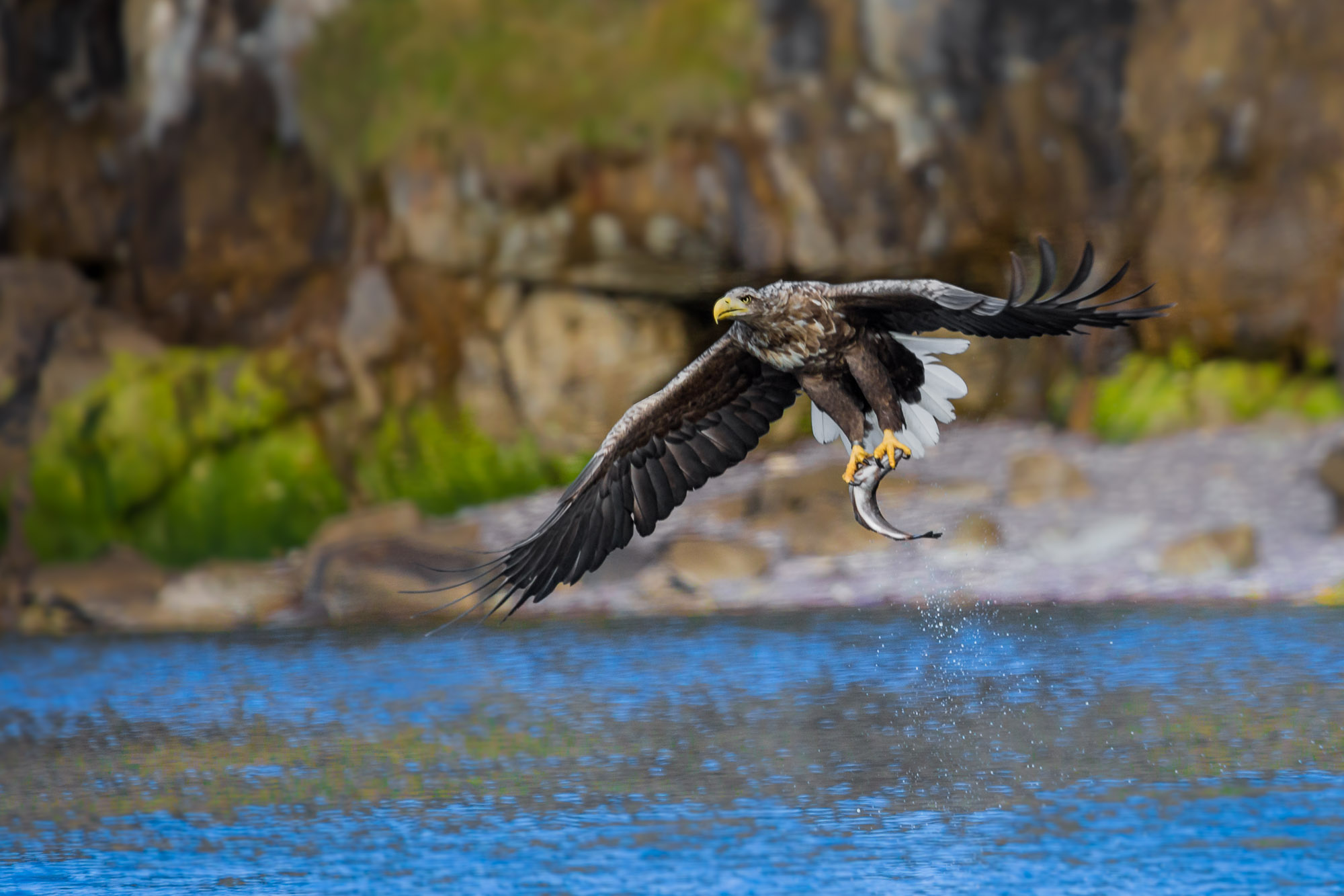 AB5D6074-Edit.jpg