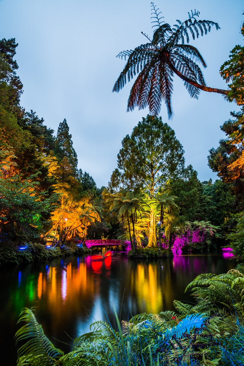 north-island-lights-festival-summer-pukekura-park-events-photographer-amalia-bastos-new-zealand.jpg