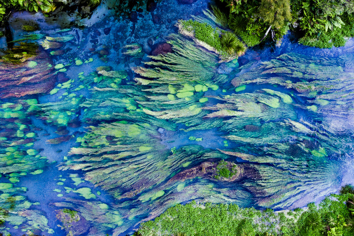 aerial-photograph-new-zealand-amalia-bastos-te-waihou-walkway-blue-spring.jpg