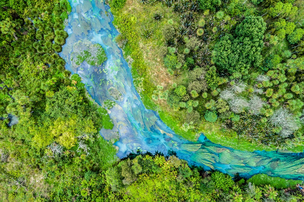 blue-spring-te-waihou-hamilton-path-new-zealand-nz-river-aerial-dji-photography.jpg