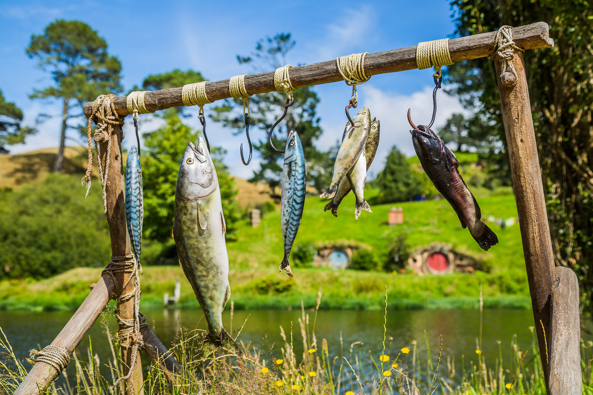 amalia-bastos-photography-landscape-events-north-island-hobbiton-new-zealand-movie-set.jpg