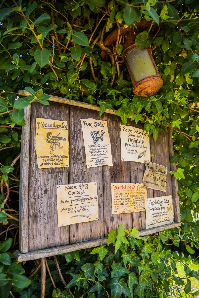 hobbiton-movie-set-new-zealand-event-travel-tourism-photography-photographer-amalia-bastos.jpg