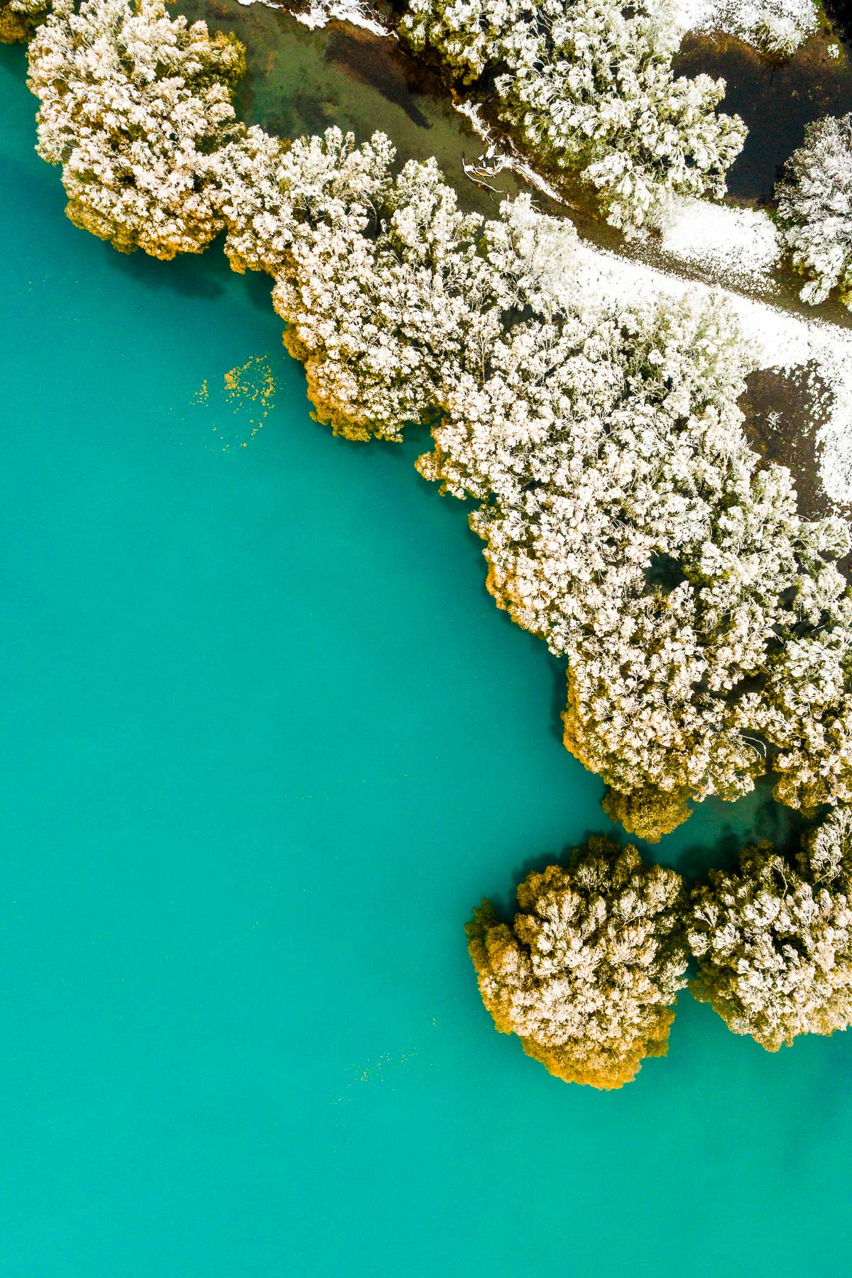 lake-tekapo-blue-glacial-glacier-water-snow-snowing-autumn-yellow-cyan-landscape-aerial.jpg